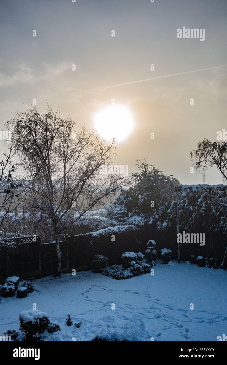 Alba invernale su un giardino innevato in Inghilterra Foto Stock