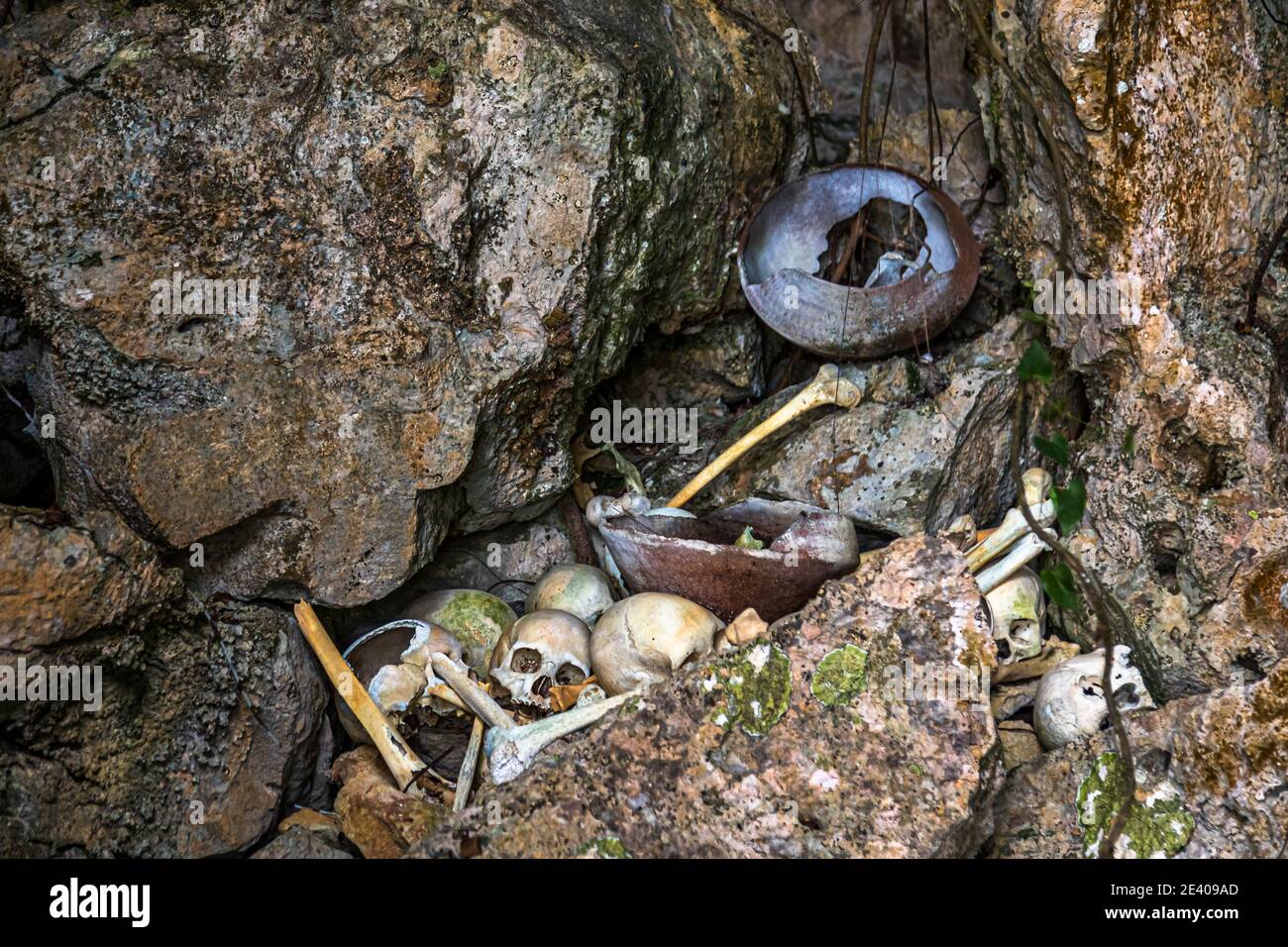 Teschi di cannibali lasciati dietro in una grotta sul isola di Pana Wara Wara in Papua Nuova Guinea Foto Stock