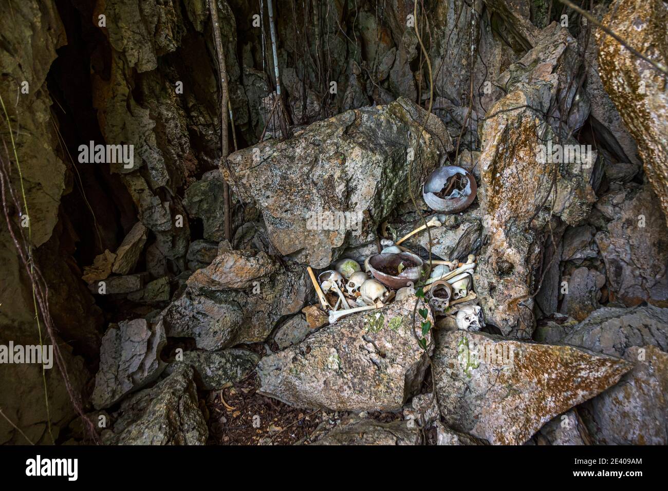 Un cranio umano con orbite cave giace tra ossa e una ciotola di conchiglia erosa in una grotta sull'isola di Pana Wara Wara, provincia di Milne Bay, Papua Nuova Guinea. Foto Stock