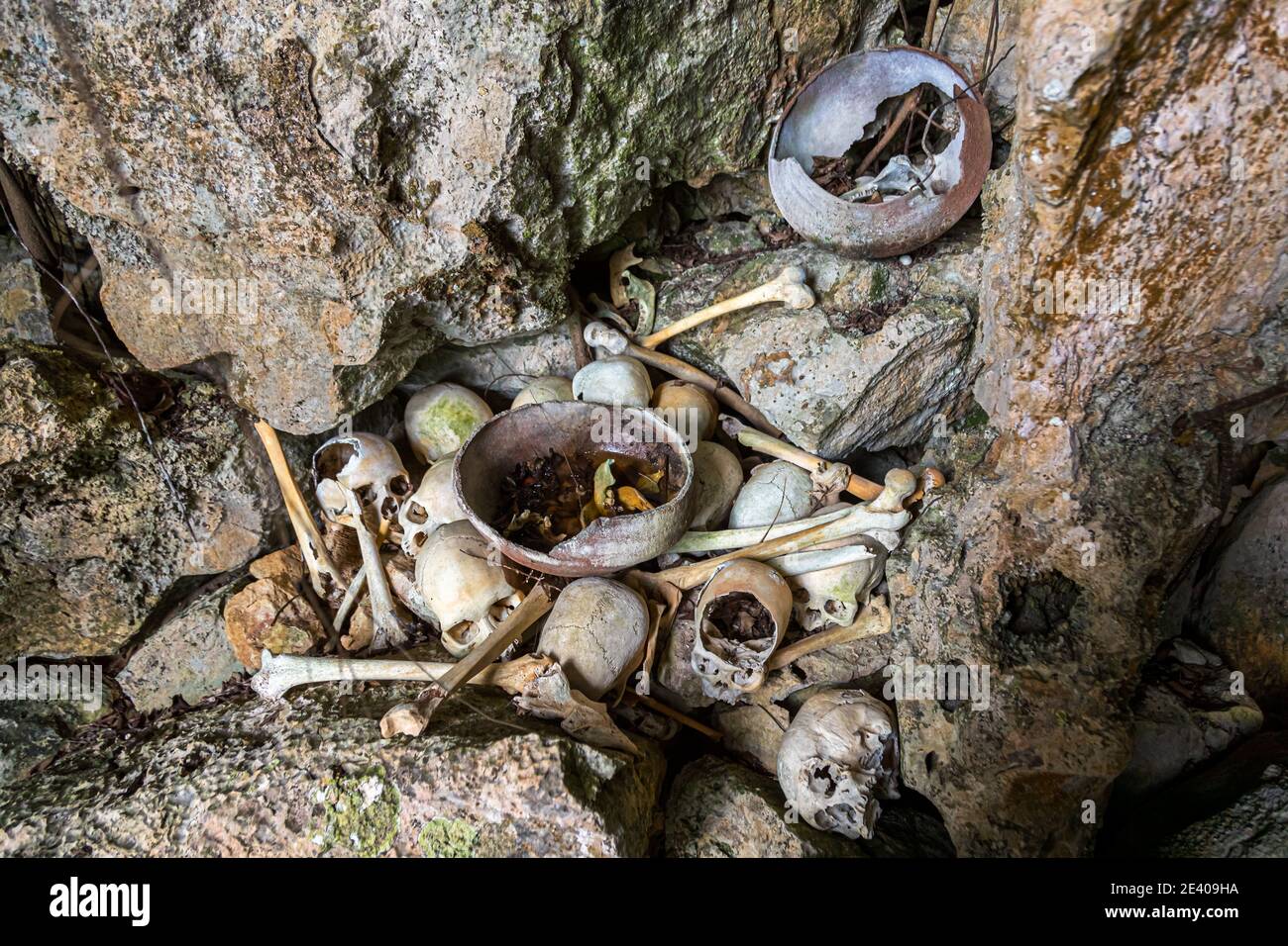 Teschi di cannibali lasciati dietro in una grotta sul isola di Pana Wara Wara in Papua Nuova Guinea Foto Stock