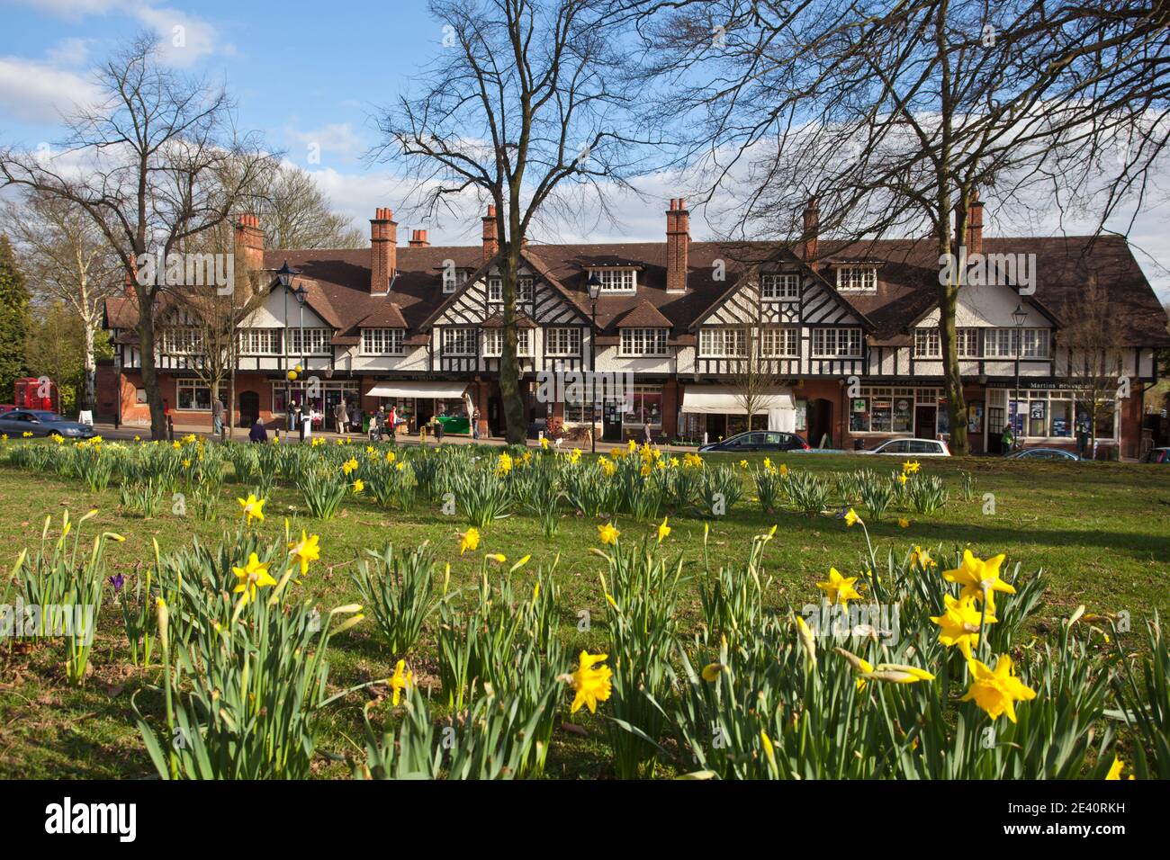 Regno Unito, Inghilterra, West Midlands, Birmingham, Bournville, Daffodils su Bournville Village Green, con sfilata di negozi in background Foto Stock