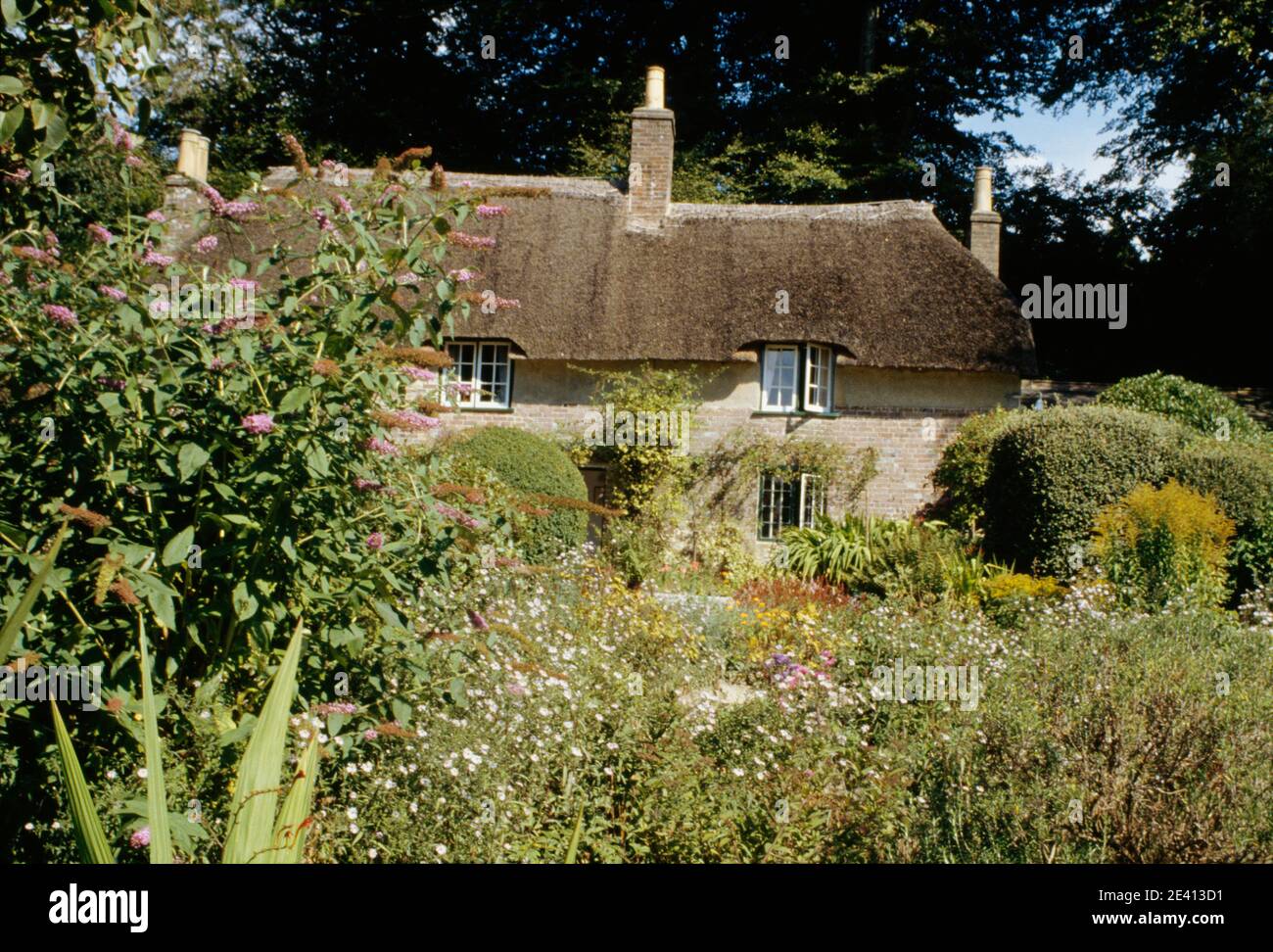 Hardy's Cottage (nt) thomas hardy nato qui 1840, alto bockhampton dorset Foto Stock