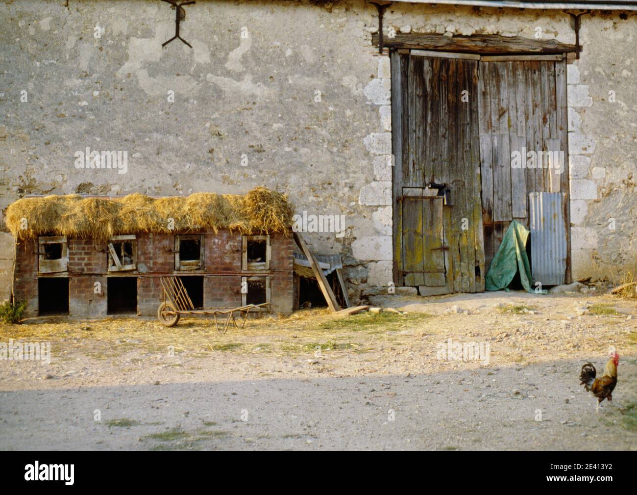 Cortile: Fienile con hutches di coniglio lungo il muro, porta fienile con riparazioni e cockerel in primo piano, le plessis, valle della loira francia Foto Stock