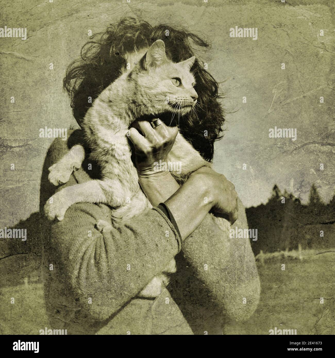 Un gatto tenuto da una donna il cui volto non può essere visto. Foto Stock