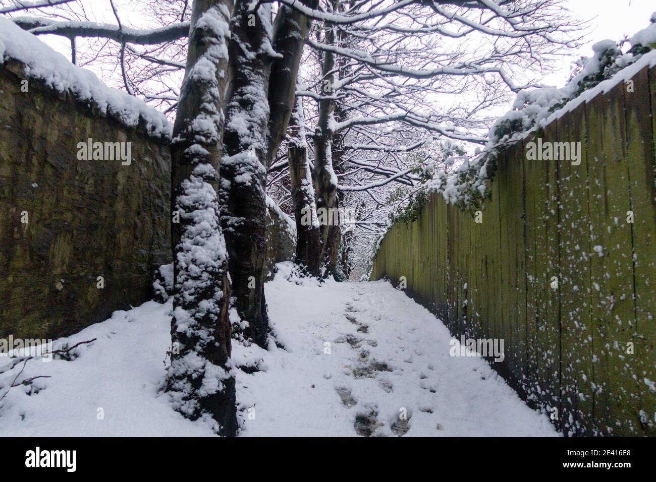 Un sentiero nella foresta coperta di neve Foto Stock