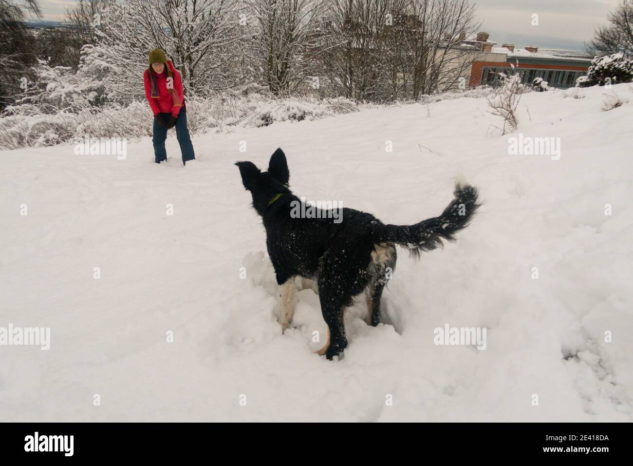 Una donna che gioca con un cane nella neve Foto Stock