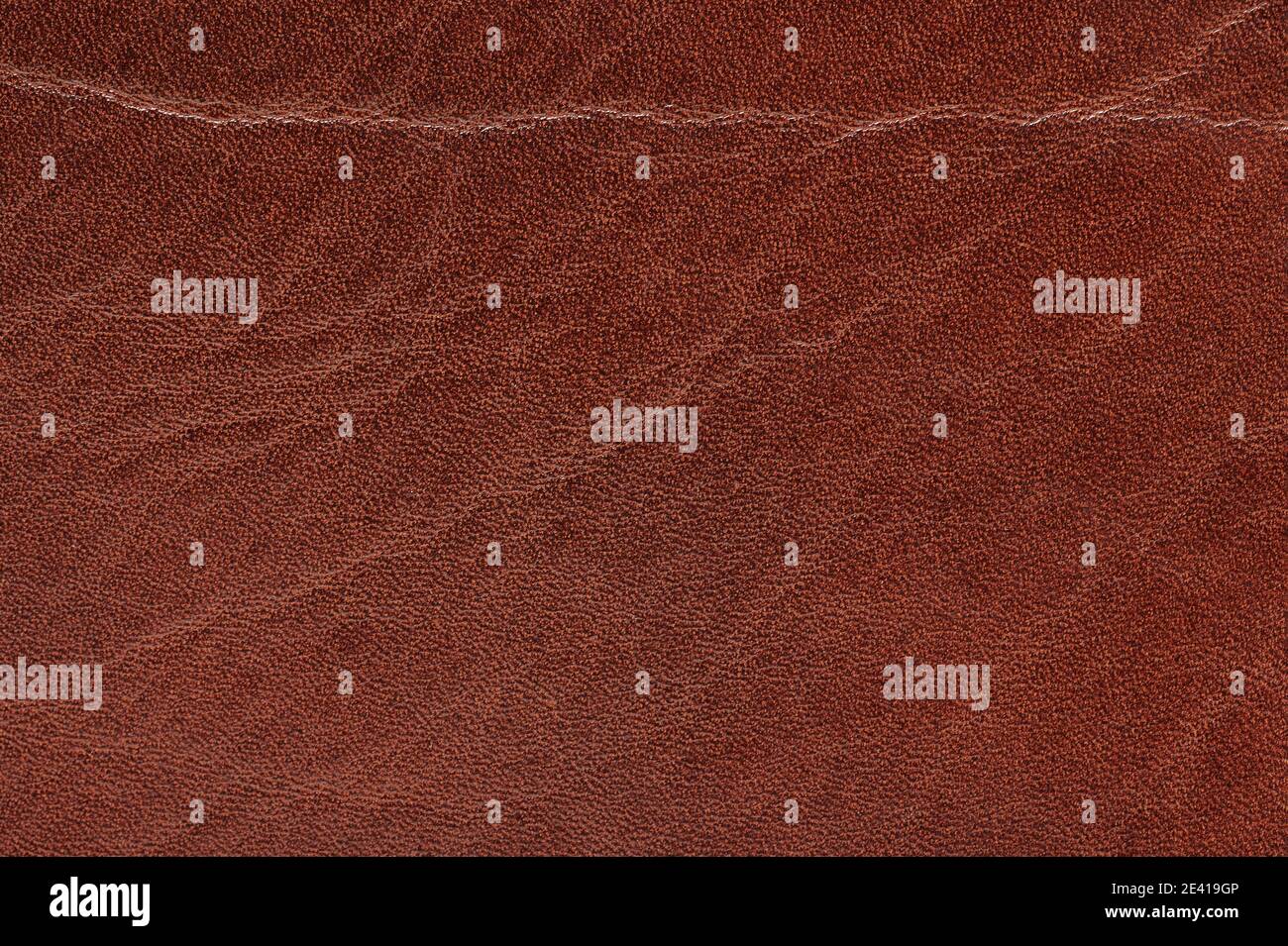 Vista ravvicinata della superficie in pelle marrone rugosa Foto Stock