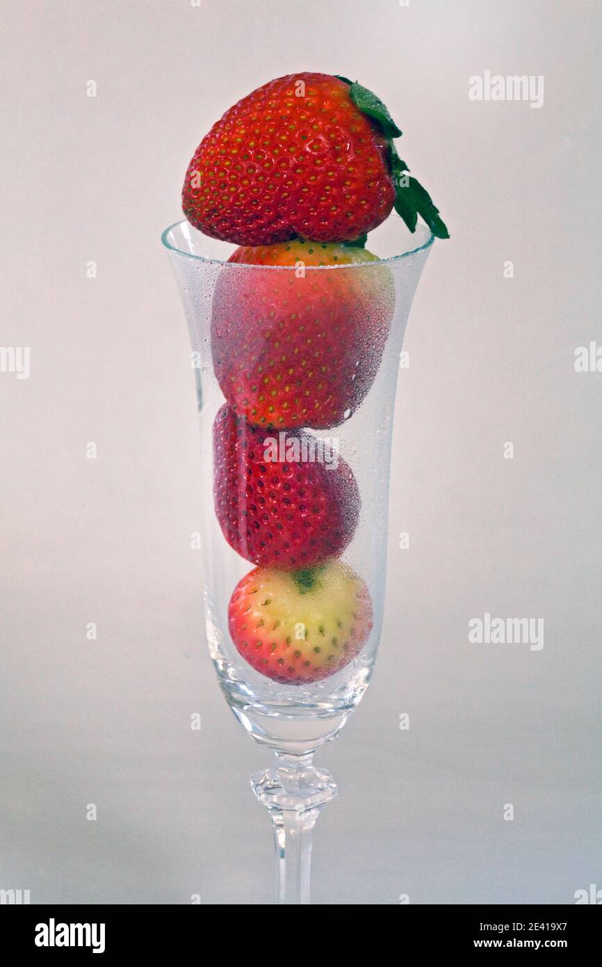 Fragole fresche, dolci e rosse direttamente dall'orto, in un bicchiere di champagne. Foto Stock