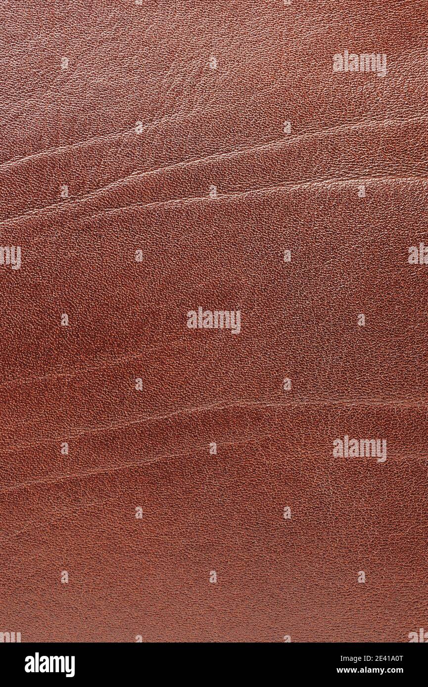 Vista ravvicinata macro copertina libro in pelle marrone. Pelle crespata Foto Stock