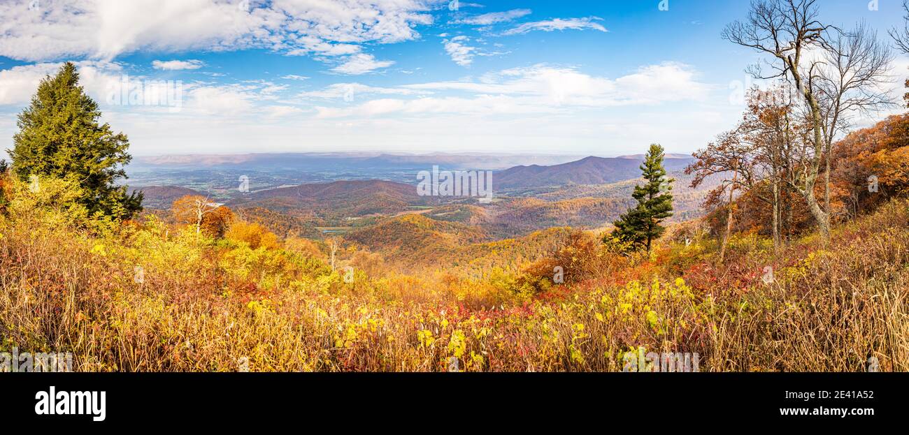 Vista del Parco Nazionale di Shenandoah e delle Blue Ridge Mountains dal famoso punto panoramico Skyline Drive di Jewell Hollow. Foto Stock