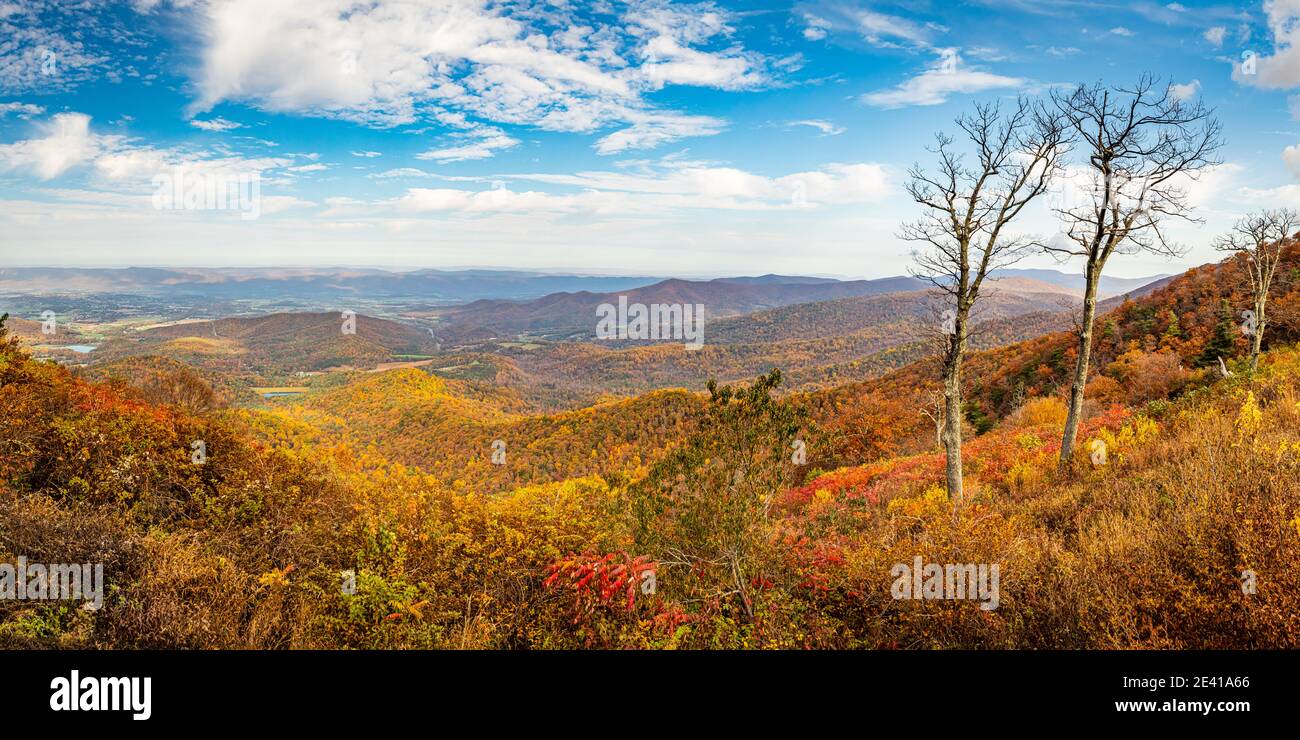 Vista del Parco Nazionale di Shenandoah e delle Blue Ridge Mountains dal famoso punto panoramico Skyline Drive di Jewell Hollow. Foto Stock