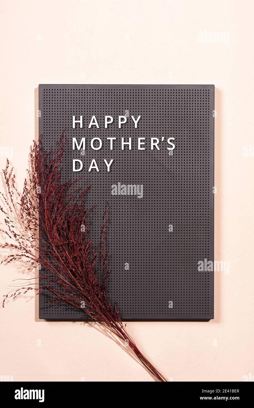 Tavola di plastica grigia con citazioni bianche Happy Mother's Day e ramo rosso di erba su sfondo beige. Foto Stock