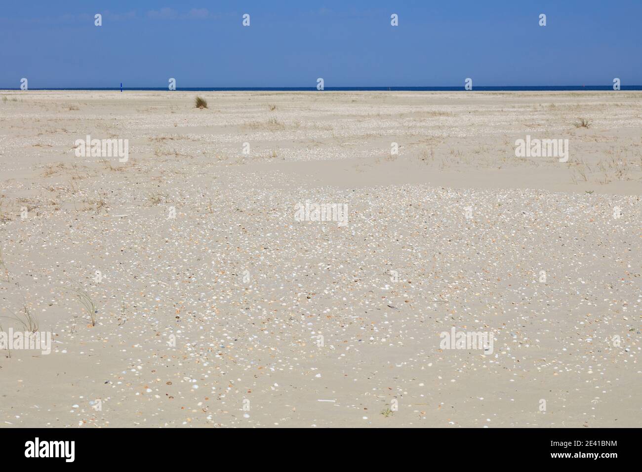 Paesaggio delle dune, Borkum, Isola Frisone Est, frisia Est, bassa Sassonia, Germania, Europa Foto Stock Paesaggio delle dune, Borkum, Isola Frisone Est, frisia Est, bassa Sassonia, Germania, Europa Foto Stock