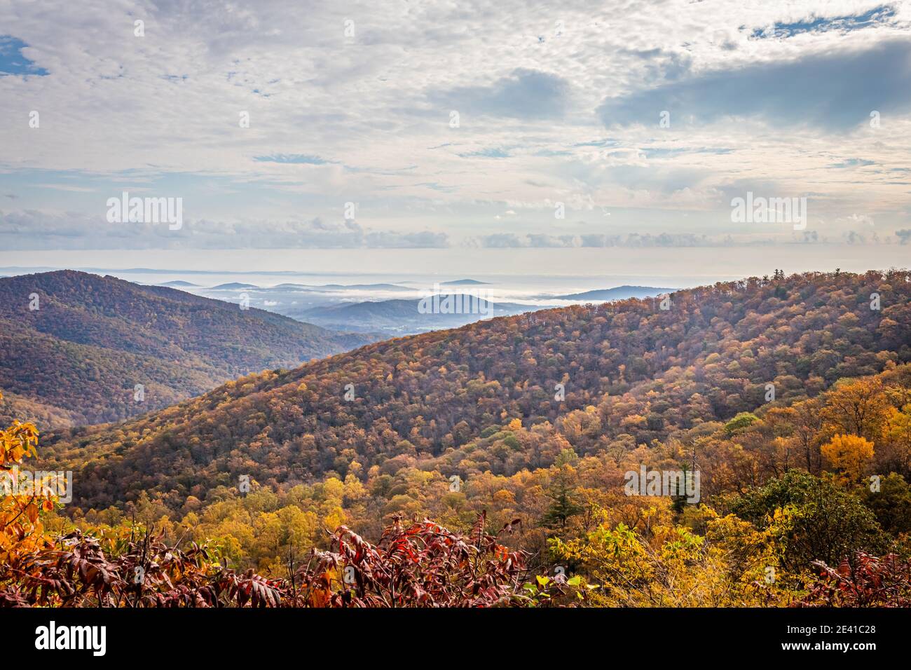 Vista del Parco Nazionale di Shenandoah e delle Blue Ridge Mountains dalla famosa Skyline Drive del parco. Foto Stock