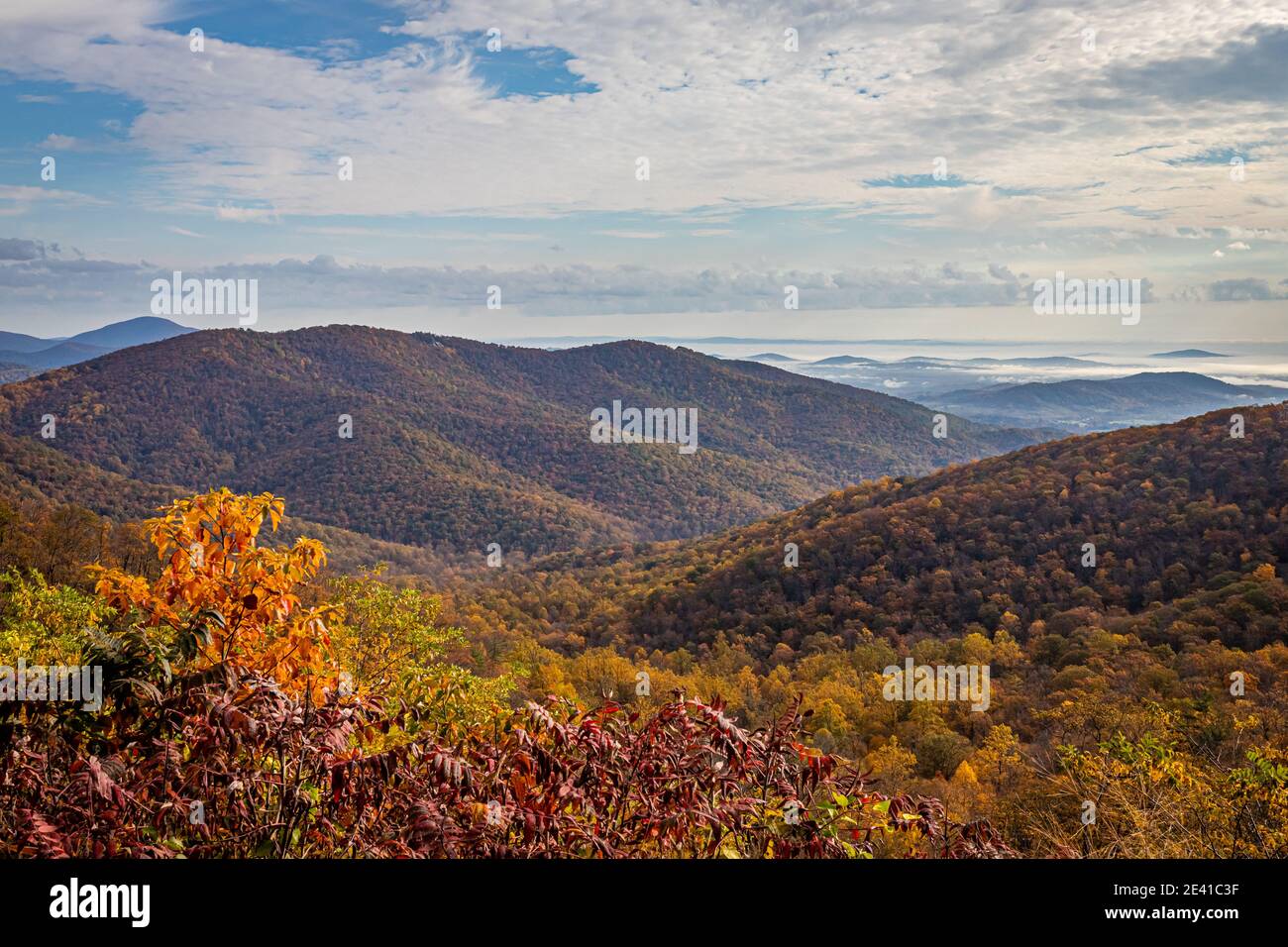 Vista del Parco Nazionale di Shenandoah e delle Blue Ridge Mountains dalla famosa Skyline Drive del parco. Foto Stock