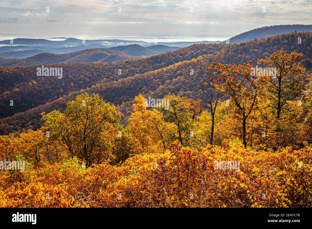 Vista del Parco Nazionale di Shenandoah e delle Blue Ridge Mountains dal famoso punto panoramico Skyline Drive Buck Hollow del parco. Foto Stock
