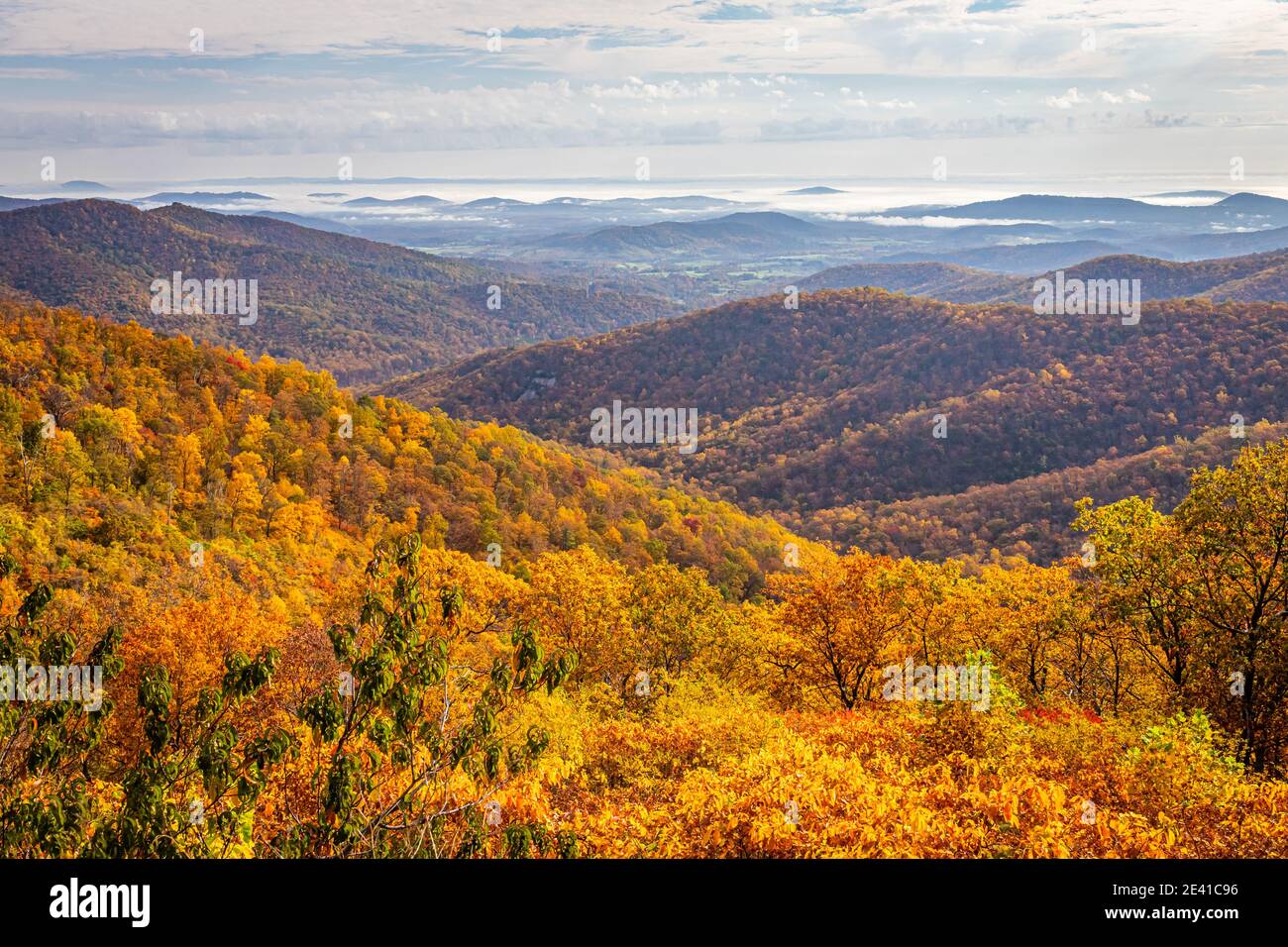 Vista del Parco Nazionale di Shenandoah e delle Blue Ridge Mountains dal famoso punto panoramico Skyline Drive Buck Hollow del parco. Foto Stock