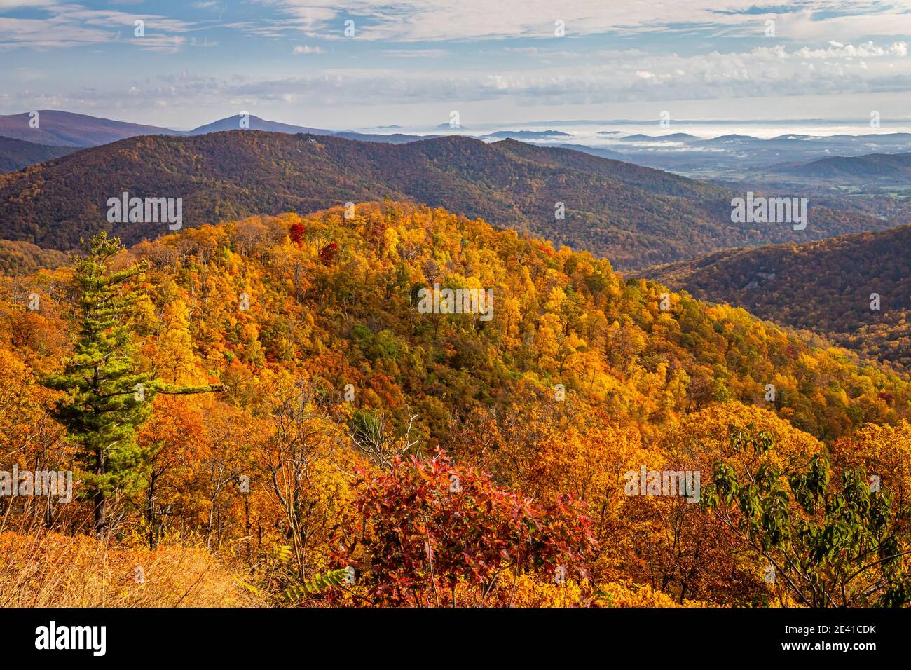 Vista del Parco Nazionale di Shenandoah e delle Blue Ridge Mountains dal famoso punto panoramico Skyline Drive Buck Hollow del parco. Foto Stock