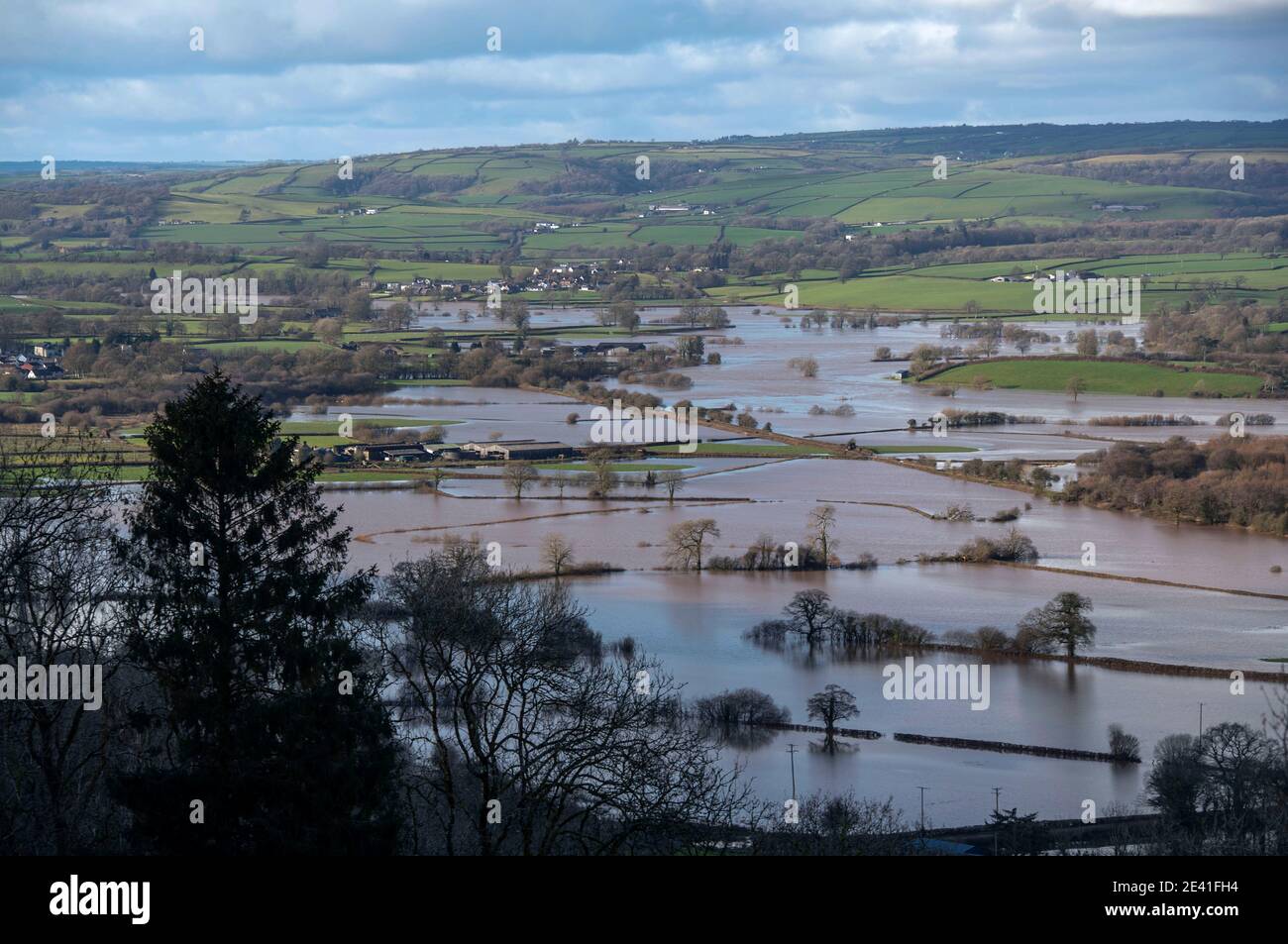 Swansea, Regno Unito. 21 Gennaio 2021. La Tywi Valley allagata nel Carmarthenshire, nel Galles del Sud, dopo la forte pioggia di Storm Christoph, fece scoppiare il fiume Towy sulle sue rive. Credit: Phil Rees/Alamy Live News Foto Stock