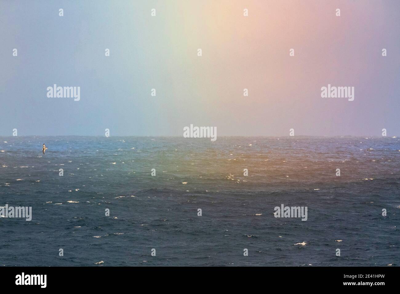 Arcobaleno in mare durante una giornata ventosa e piovosa, Nuova Zelanda, le Smares Foto Stock