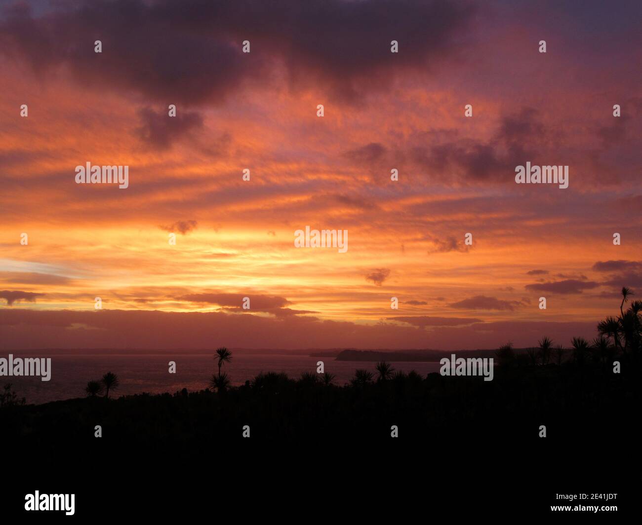 Dopo il tramonto sull'Isola di Tiritiri Matangi nel Golfo di Hauraki, Nuova Zelanda, Isola del Nord, Isola di Tiritiri Matangi Foto Stock