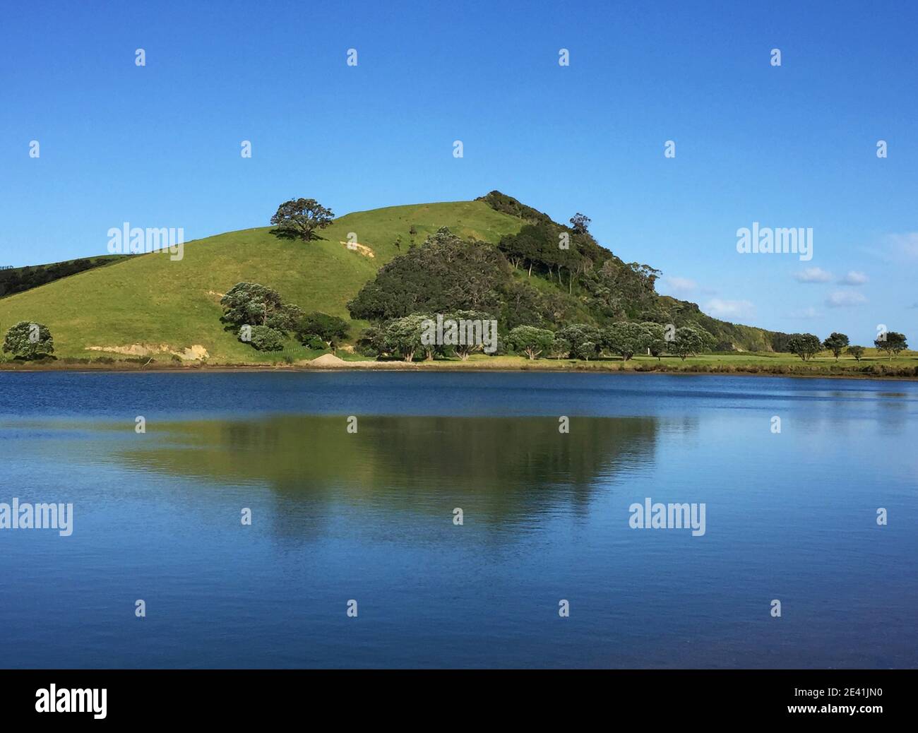Lago d'acqua dolce nel Parco Regionale di Tawharanui, Nuova Zelanda, Tokatu, Parco Regionale di Tawharanui Foto Stock