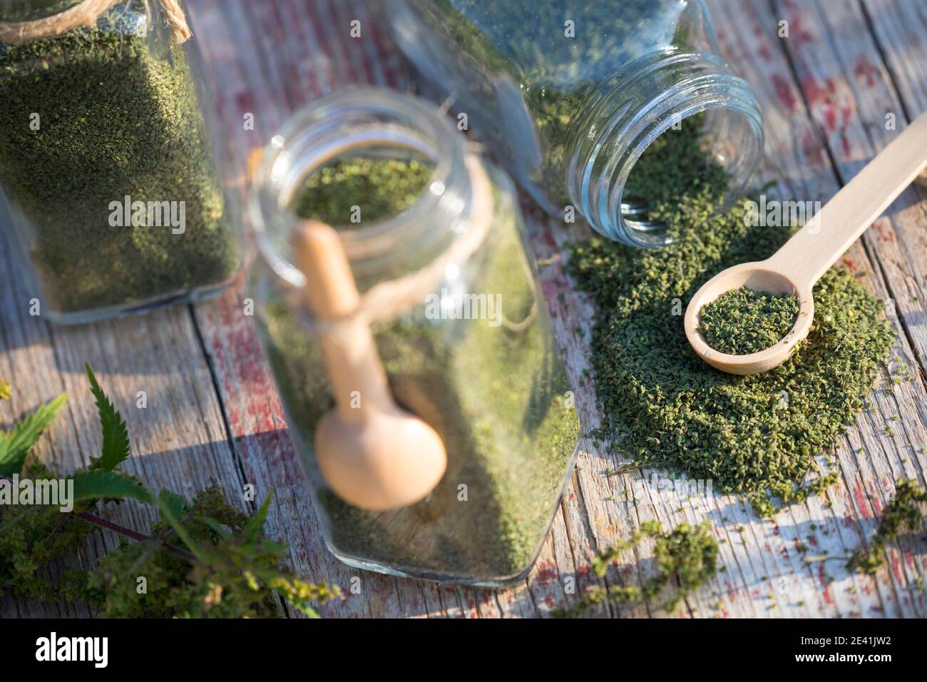 Ortica (Urtica dioica), semi di ortica essiccati in contenitori di vetro con cucchiai di legno, Germania Foto Stock