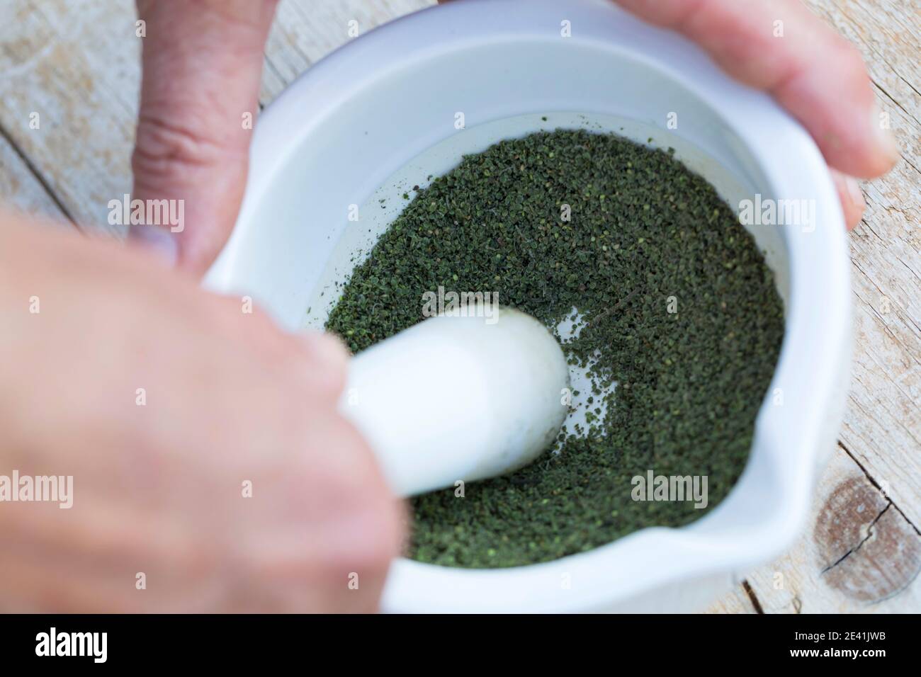 Ortica pungente (Urtica dioica), semi sono frantumati in un mortaio, Germania Foto Stock