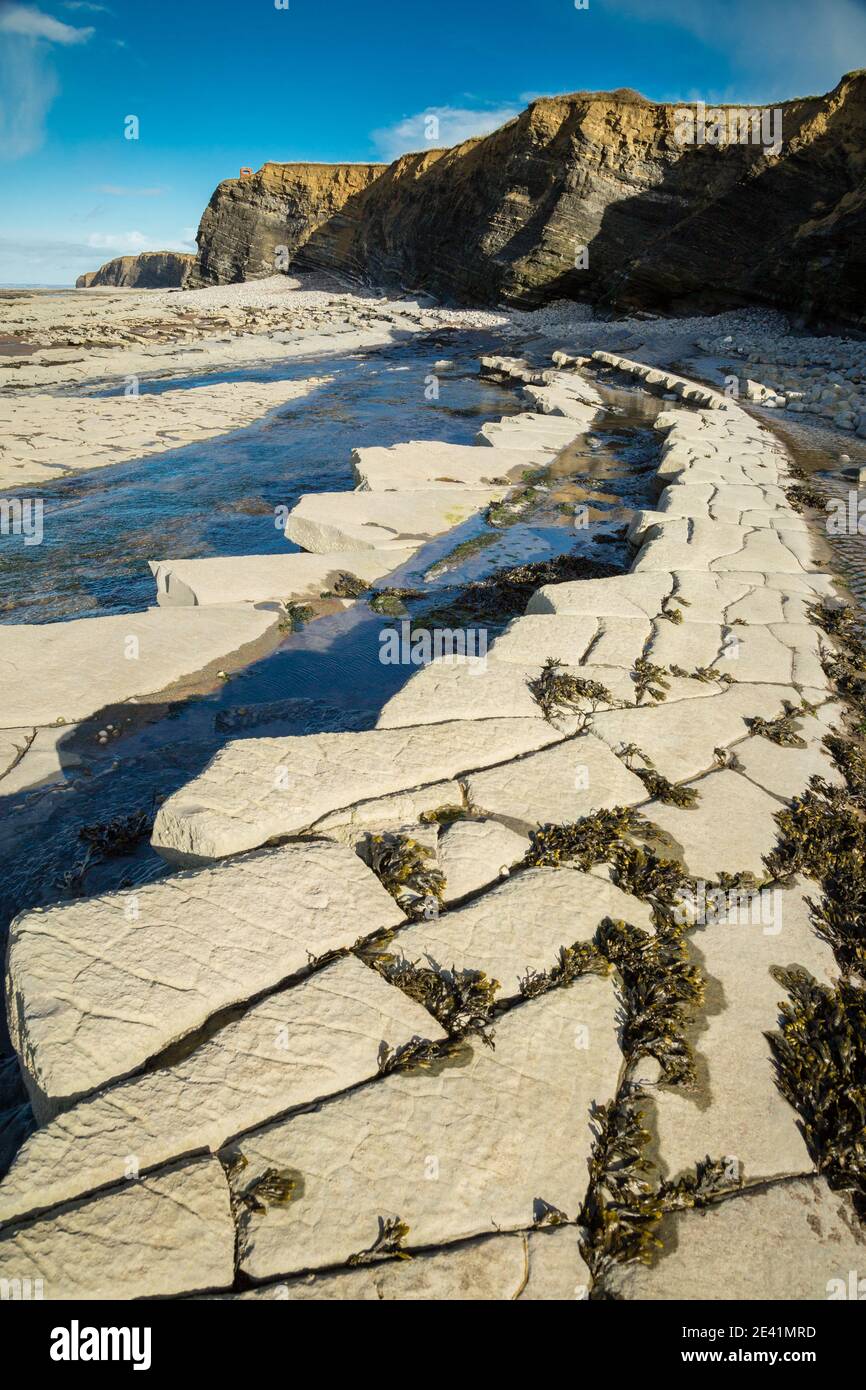 Strati di pietra calcarea Jurassic lias sulla spiaggia a East Quantoxhead dove le colline Quantock raggiungono il mare nel Somerset UK Foto Stock