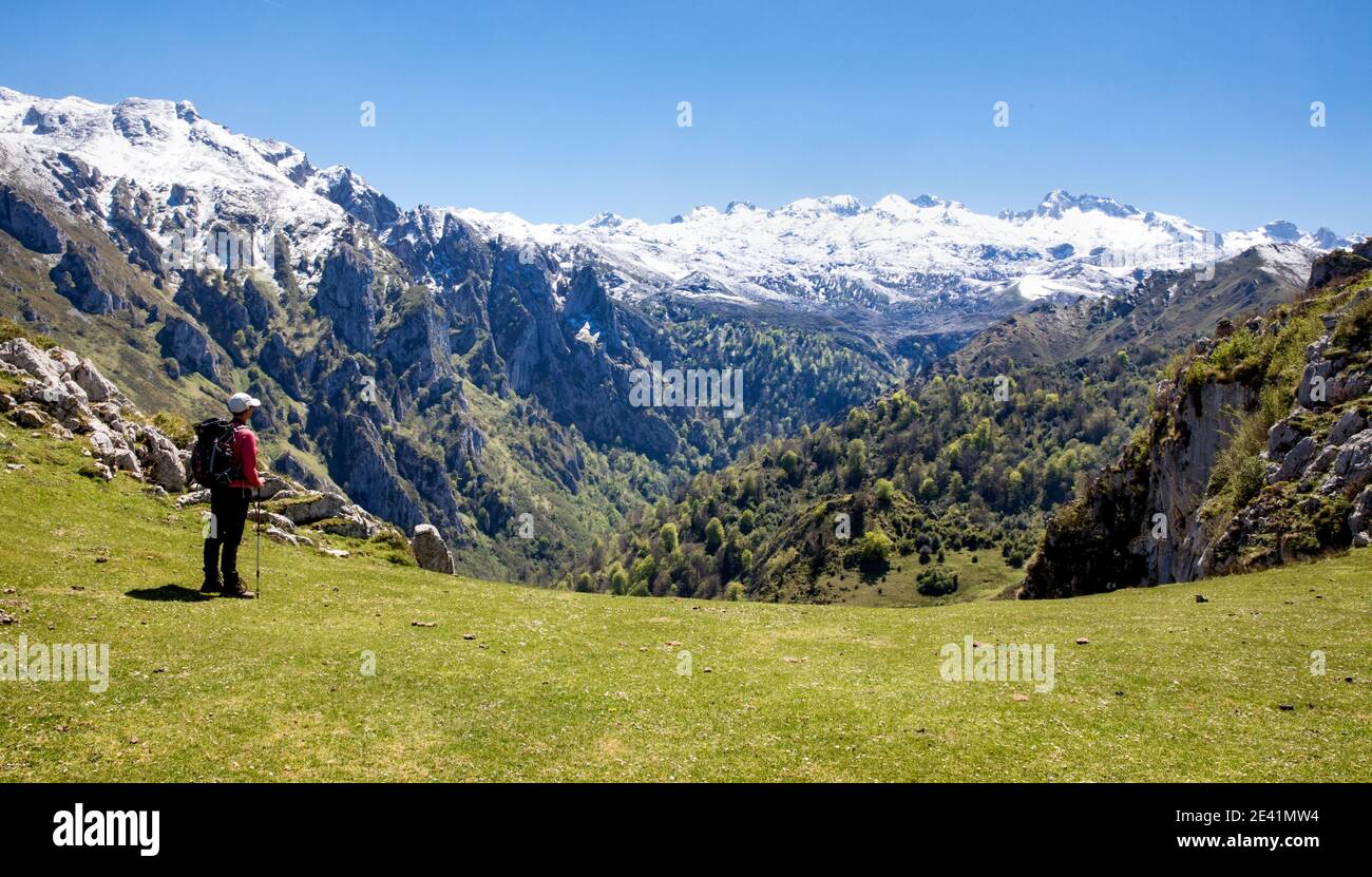 Walker che si affaccia sul frastagliato Collau los Buitres da L'alto alp di Pandescura nei Picos de Europa Montagne della Spagna settentrionale vicino a Bobia Foto Stock