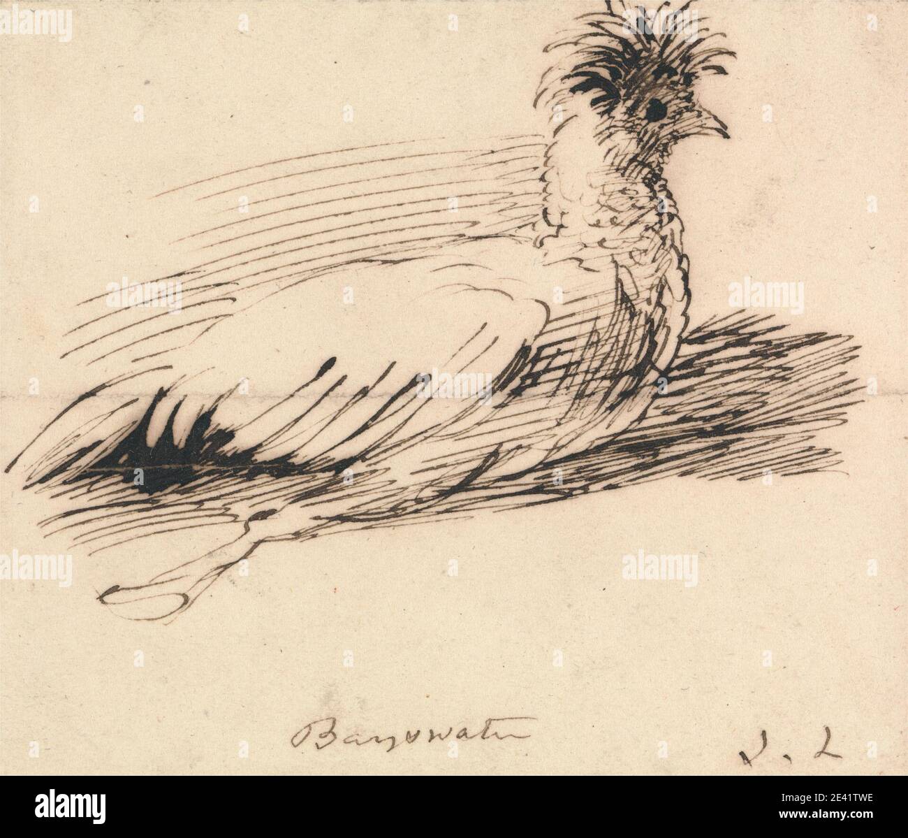 John Linnell, 1792â–1882, inglese, UN Hen, non datato. Inchiostro marrone su carta wove beige leggermente testurizzata, di spessore moderato. Arte animale , uccello , pollo , gallina , ombra Foto Stock John Linnell, 1792â–1882, inglese, UN Hen, non datato. Inchiostro marrone su carta wove beige leggermente testurizzata, di spessore moderato. Arte animale , uccello , pollo , gallina , ombra Foto Stock