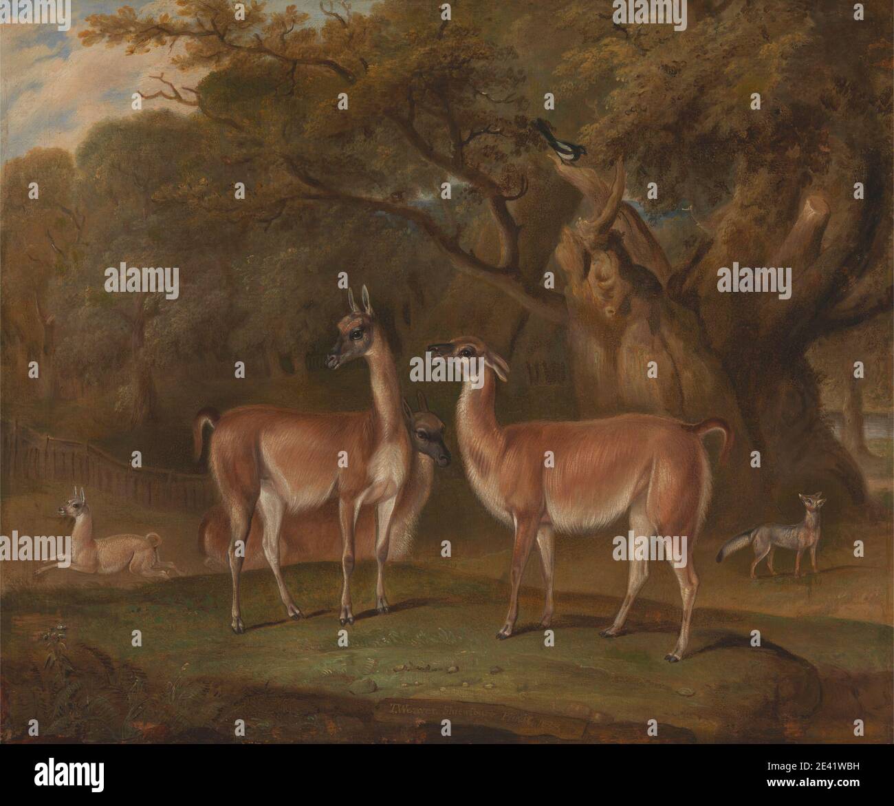 Thomas Weaver, 1774â–1843, British, Llamas e una volpe in un paesaggio boscoso, 1828. Olio su tela. Arte animale , animali , uccello , recinto , volpe (animale) , paesaggio , lama , magpy , alberi , boschi Foto Stock Thomas Weaver, 1774â–1843, British, Llamas e una volpe in un paesaggio boscoso, 1828. Olio su tela. Arte animale , animali , uccello , recinto , volpe (animale) , paesaggio , lama , magpy , alberi , boschi Foto Stock