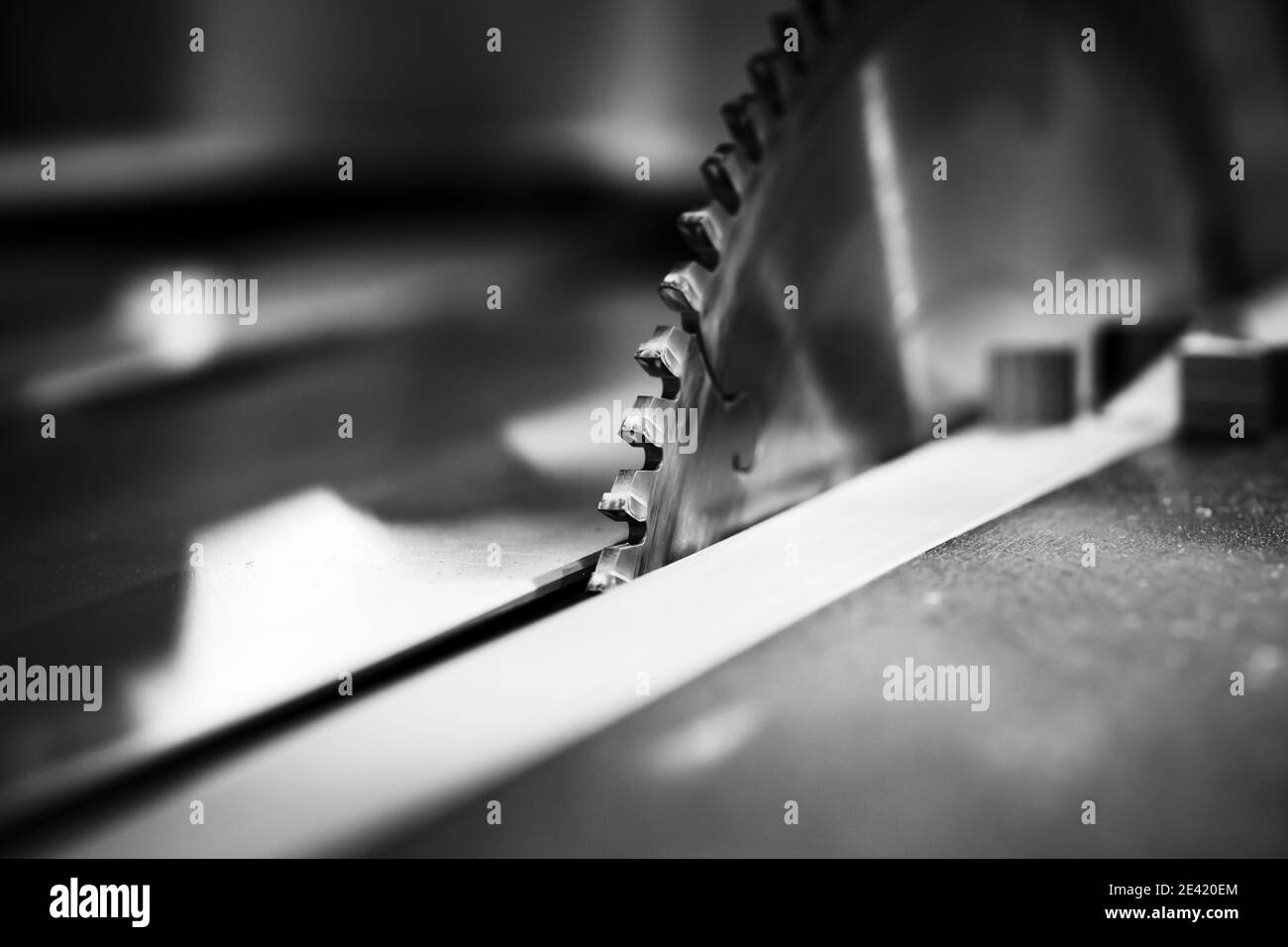 Disco per sega circolare da tavolo con denti in carburo, primo piano in bianco e nero con messa a fuoco selettiva Foto Stock