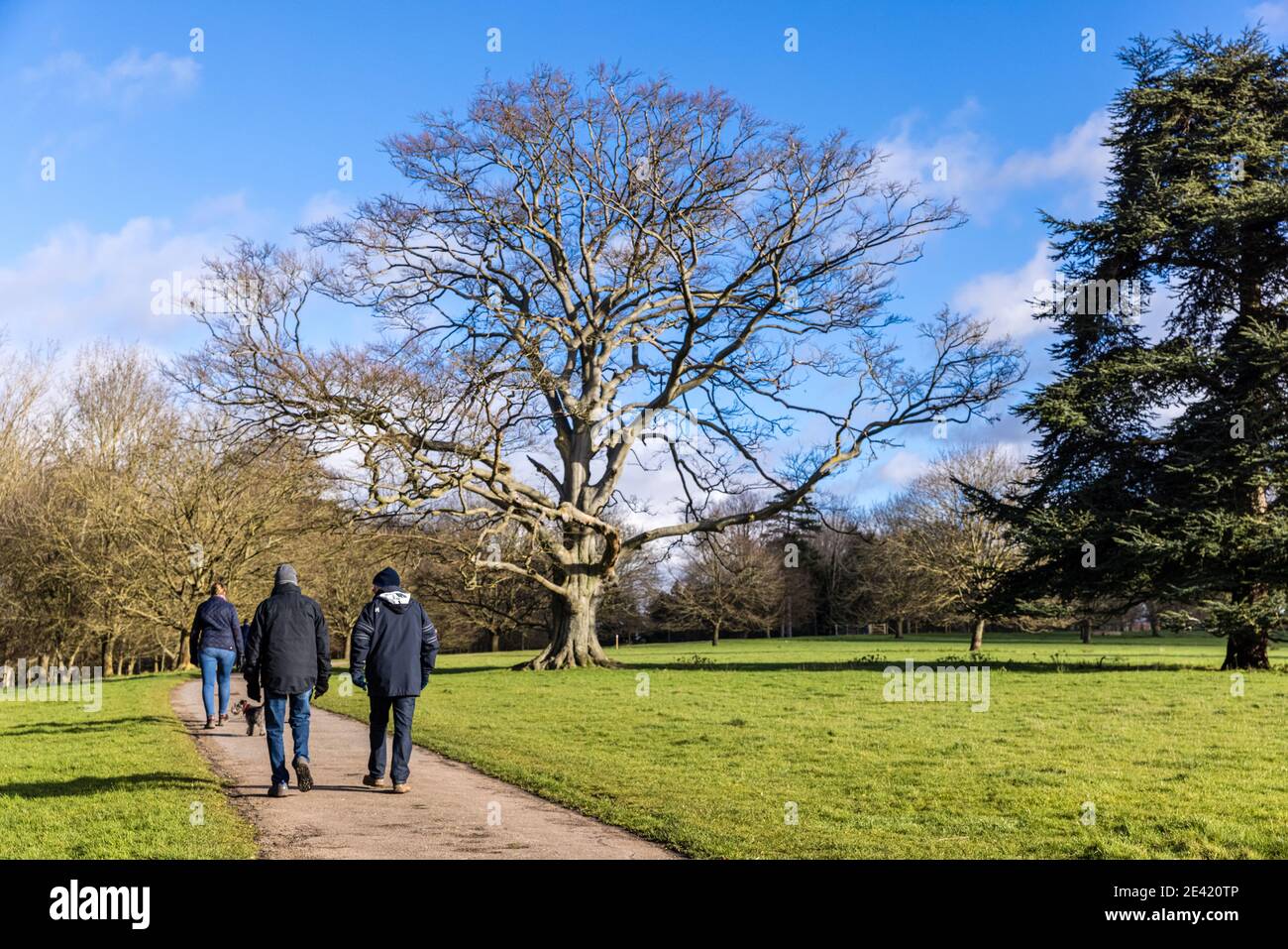 Persone che prendono l'esercizio quotidiano nella Youngsbury Estate a Thundridge, vicino a Ware in Hertfordshire durante il blocco COVID nel gennaio 2021 Foto Stock