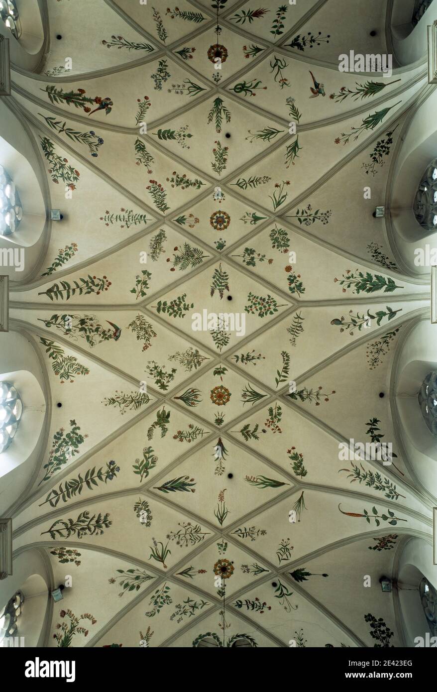 Gewölbe im Mittelschiff mit Kräutern und Papageien Foto Stock