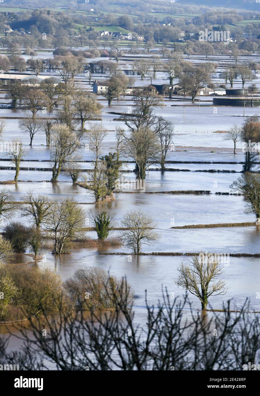 Carmarthen, Galles, 21 gennaio 2021 le acque alluvionali riempiono il paesaggio della Towy Valley nel Carmarthenshshire, Galles meridionale, dopo la pioggia pesante da Storm Christoph causato il fiume Towy scoppiò le sue rive. Foto Stock