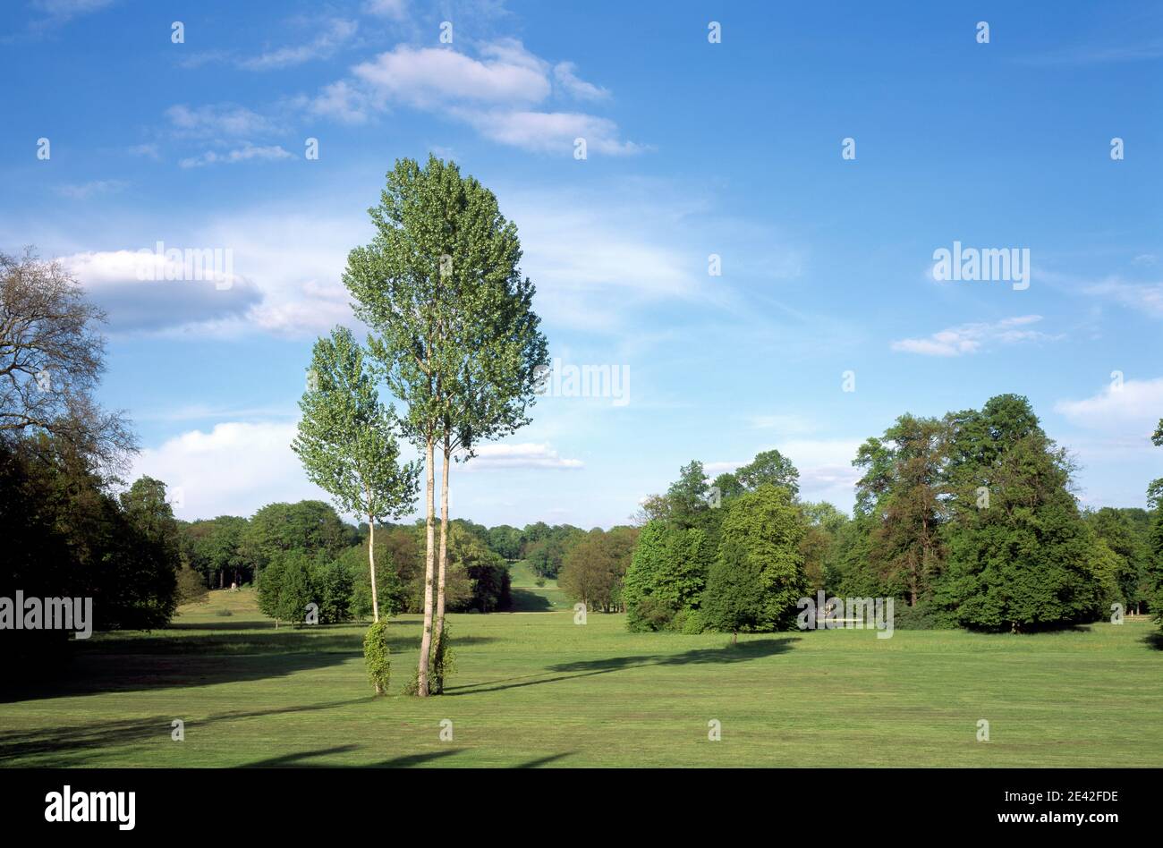 Blick vom Neuen Schloß auf den Pücklerstein Foto Stock