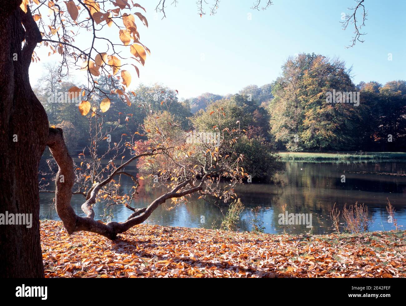 Schloßgraben im Herbst Foto Stock