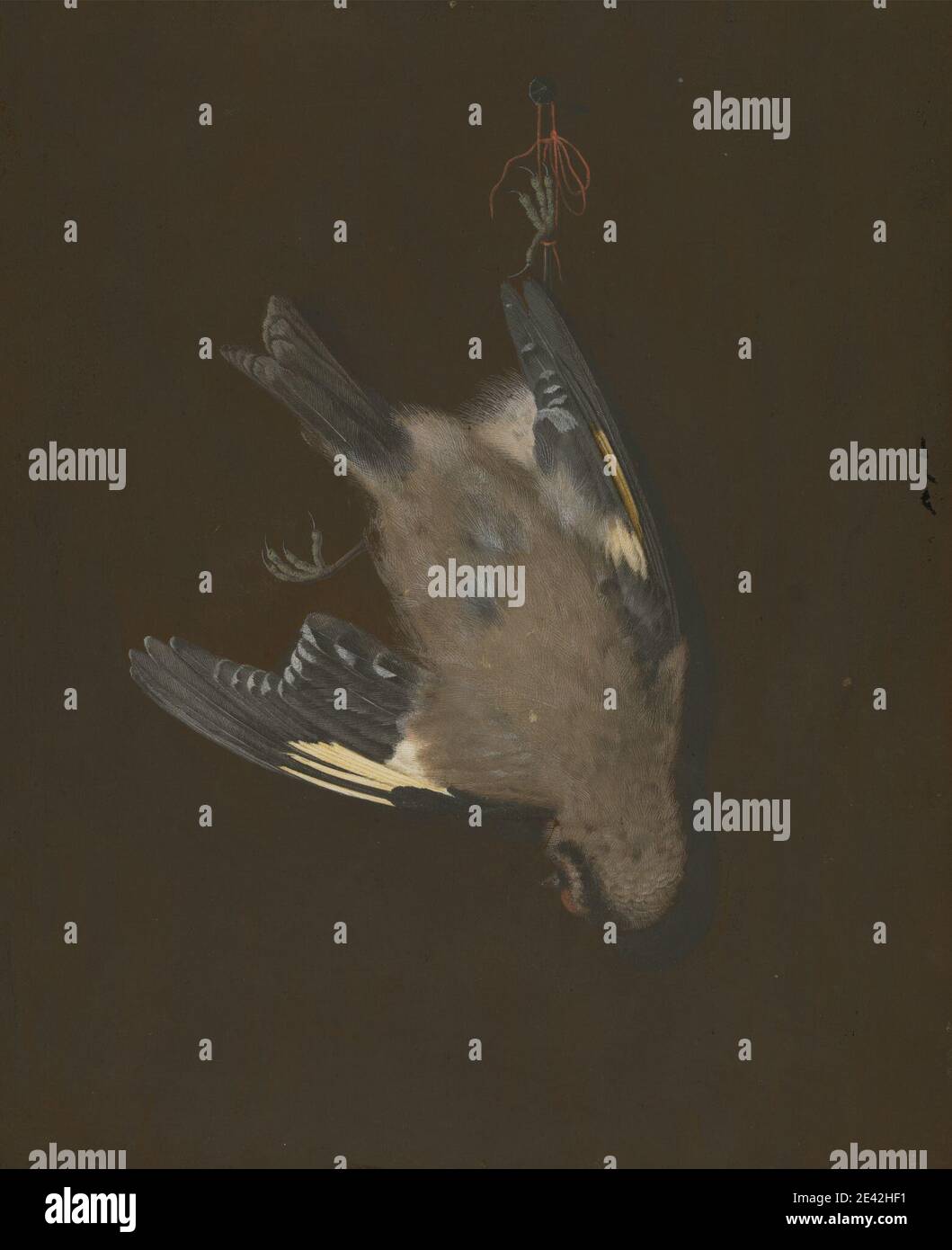 P. Brown, c. 1760â-1791, un Goldfinch europeo in una trappola, non datato. Gouache su vellum. Arte animale , uccello , nares (trappole) Foto Stock P. Brown, c. 1760â-1791, un Goldfinch europeo in una trappola, non datato. Gouache su vellum. Arte animale , uccello , nares (trappole) Foto Stock