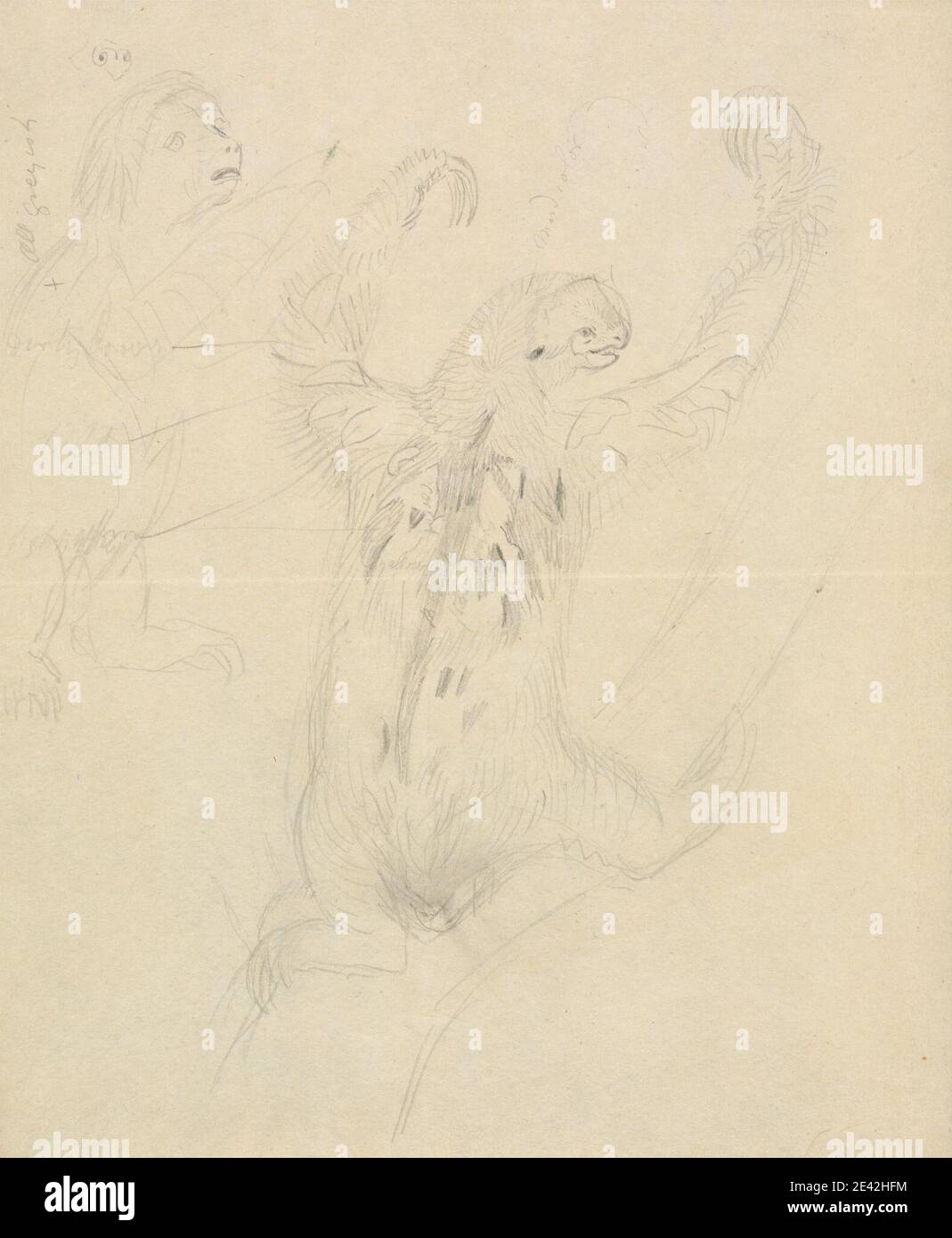 James Sowerby, 1756â–1822, inglese, due bradipi, senza dati. Grafite su carta di media consistenza, leggermente testurizzata, crema di wove. Arte animale , Mammalia (classe) , spioventi a tre punte Foto Stock James Sowerby, 1756â–1822, inglese, due bradipi, senza dati. Grafite su carta di media consistenza, leggermente testurizzata, crema di wove. Arte animale , Mammalia (classe) , spioventi a tre punte Foto Stock