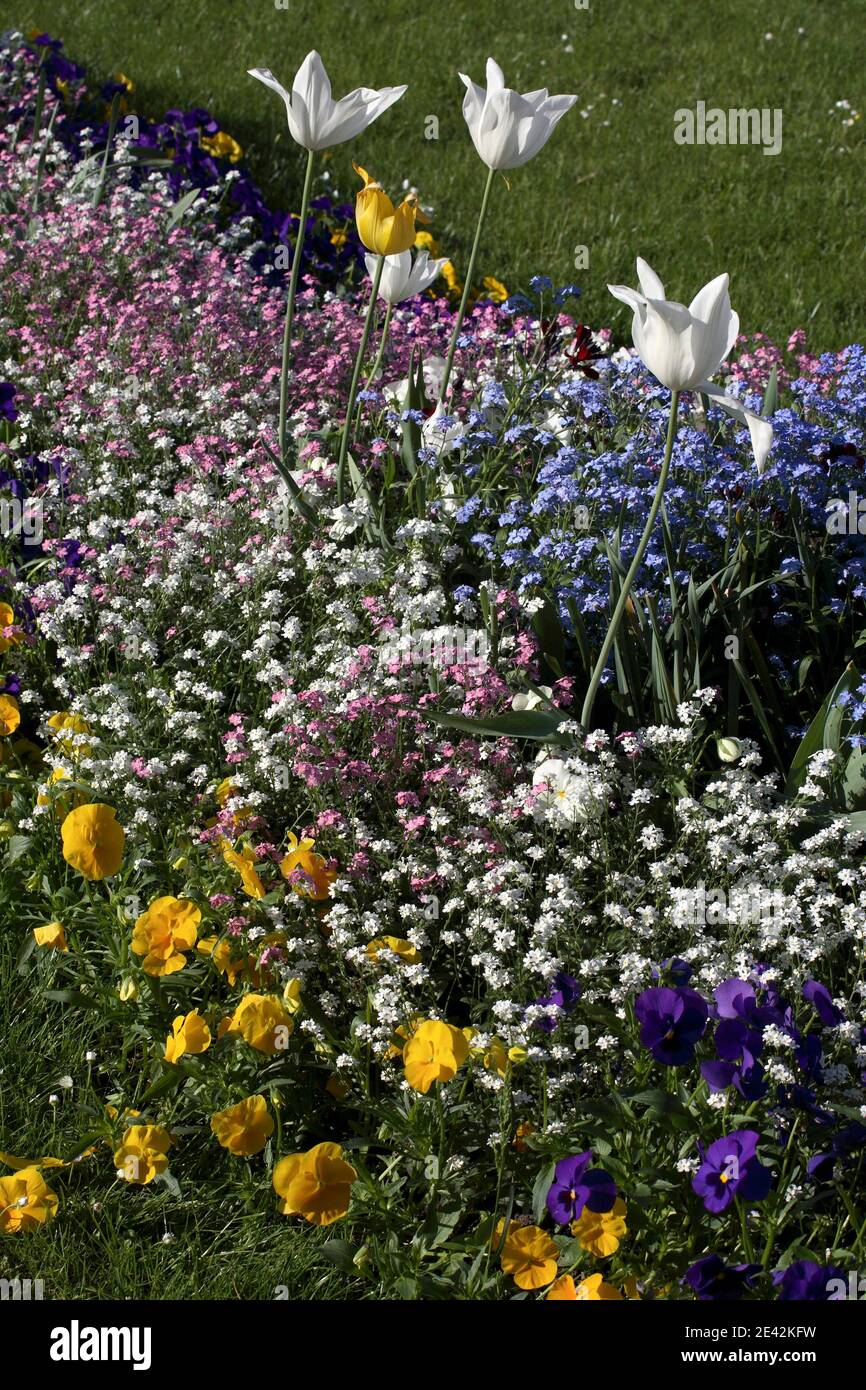 Blumengarten an der Orangerie von 1821 Foto Stock