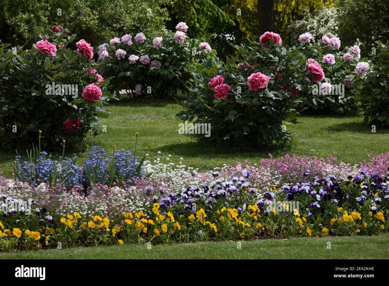 Blumengarten an der Orangerie von 1821 Foto Stock