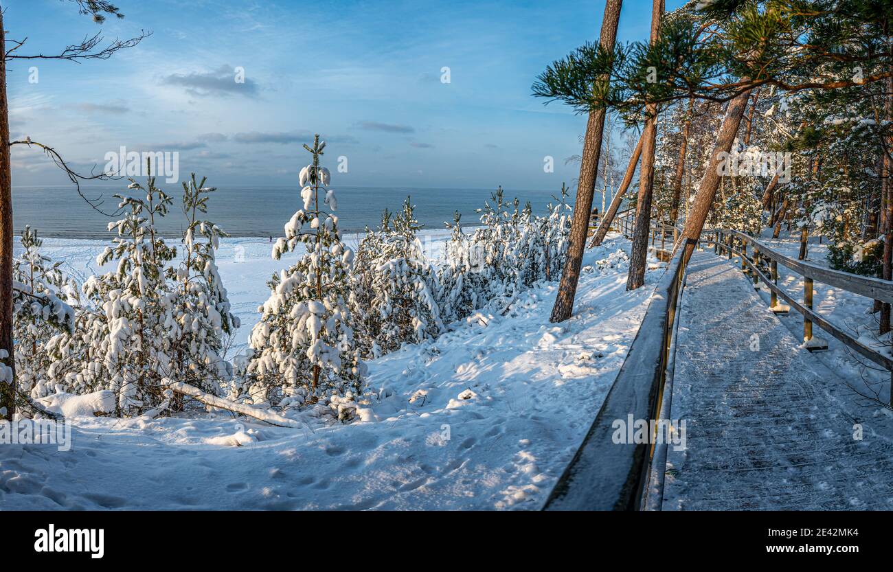 Paesaggio invernale con pini e abeti innevati e sentiero in legno durante la soleggiata giornata invernale. Vista panoramica della foresta di conifere con sentiero Foto Stock