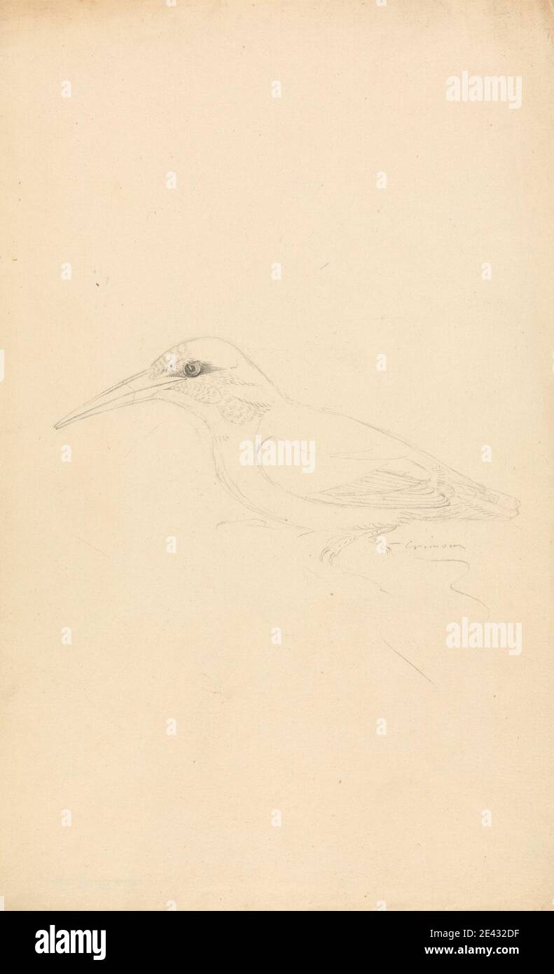James Sowerby, 1756â–1822, britannico, un Kingfisher, non datato. Grafite su carta di media consistenza, leggermente testurizzata, crema di wove. Arte animale , uccello , Martin pescatore , Kingfishers Foto Stock James Sowerby, 1756â–1822, britannico, un Kingfisher, non datato. Grafite su carta di media consistenza, leggermente testurizzata, crema di wove. Arte animale , uccello , Martin pescatore , Kingfishers Foto Stock