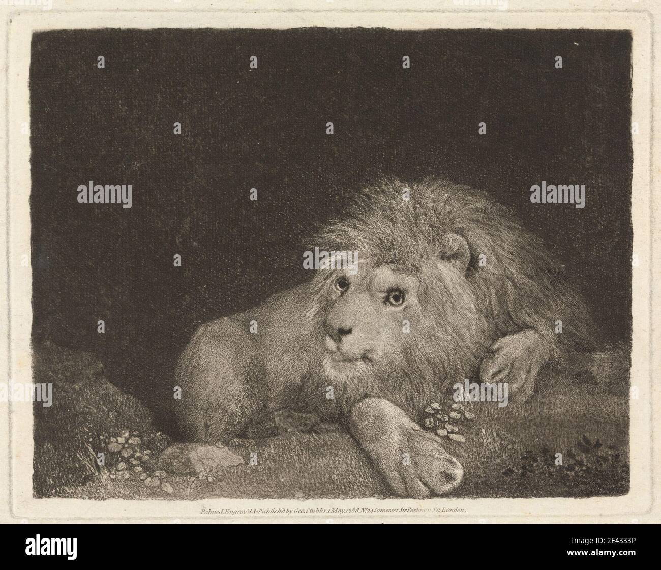 George Stubbs, 1724â–1806, British, A Lion [un leone in posizione dominante], 1788. Attacco a terra morbida con lavoro di roulette, terzo stato. Foto Stock