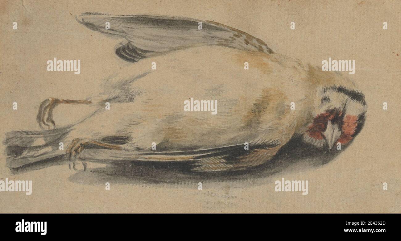 Paul Sandby RA, 1731â–1809, British, A Dead Bird, Undated. Acquerello e grafite su carta di media consistenza, di colore beige. Arte animale , uccello , morte , selvaggina (animale cacciato) Foto Stock Paul Sandby RA, 1731â–1809, British, A Dead Bird, Undated. Acquerello e grafite su carta di media consistenza, di colore beige. Arte animale , uccello , morte , selvaggina (animale cacciato) Foto Stock