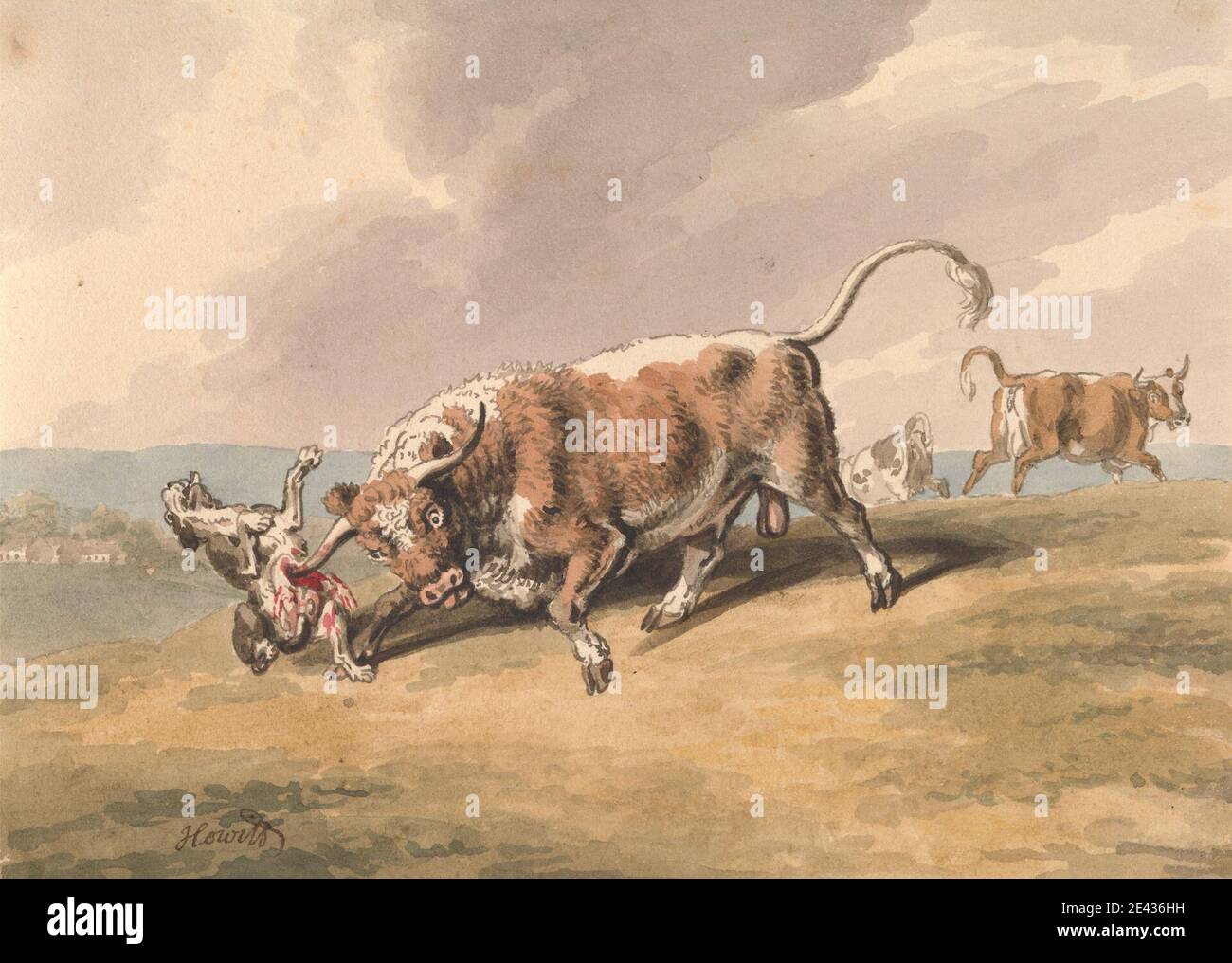 Samuel Howitt, 1756â–1822, British, UN toro che attacca un cane, senza dati. Acquerello, penna e inchiostro marrone e grafite su carta media, leggermente testurizzata, crema wove. Arte animale , attacco , tori , cane (animale) , campo Foto Stock