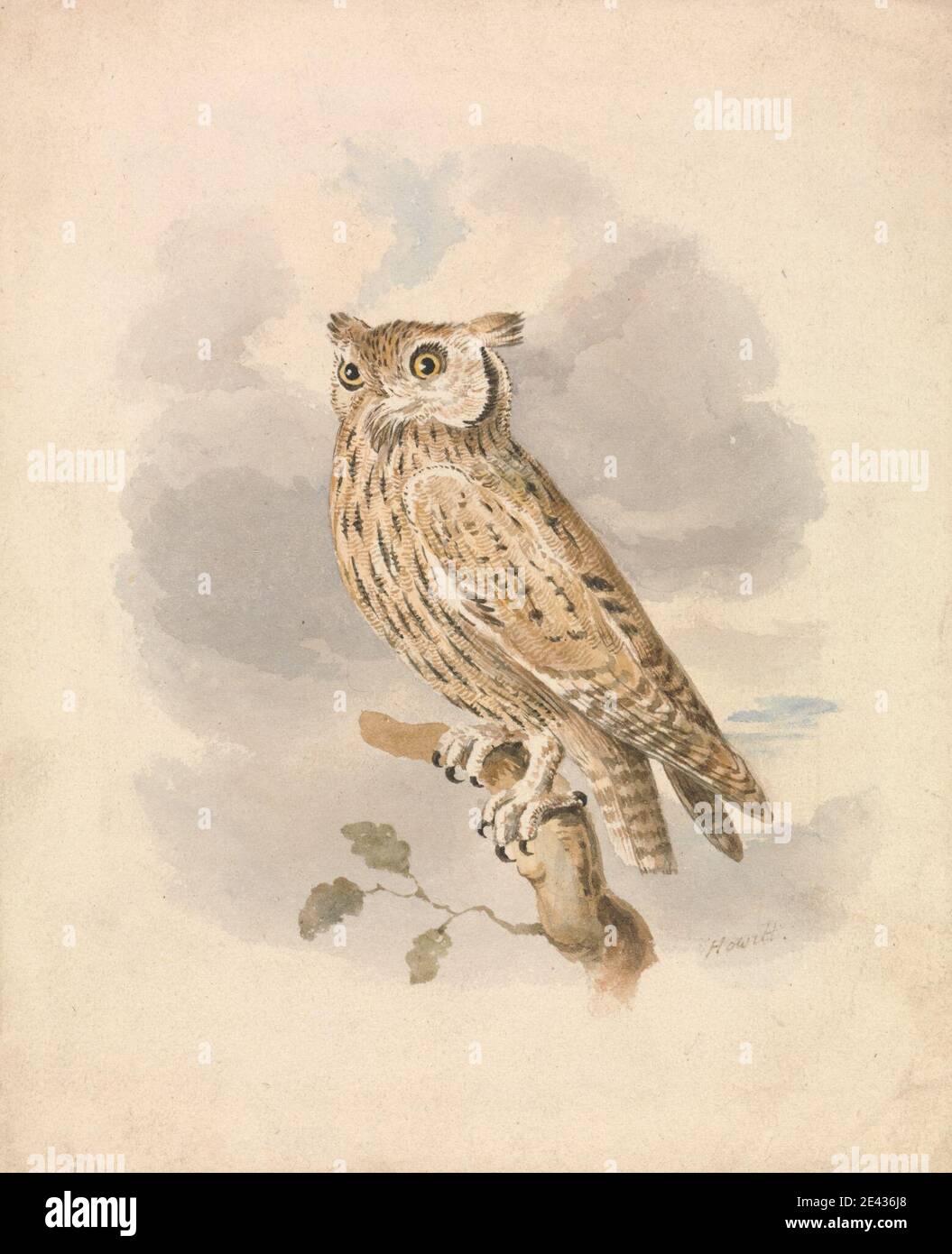 Samuel Howitt, 1756â–1822, inglese, Scops Owl, non datato. Acquerello su carta media, leggermente testurizzata, crema wove. Arte animale , ramo , gufo Foto Stock Samuel Howitt, 1756â–1822, inglese, Scops Owl, non datato. Acquerello su carta media, leggermente testurizzata, crema wove. Arte animale , ramo , gufo Foto Stock