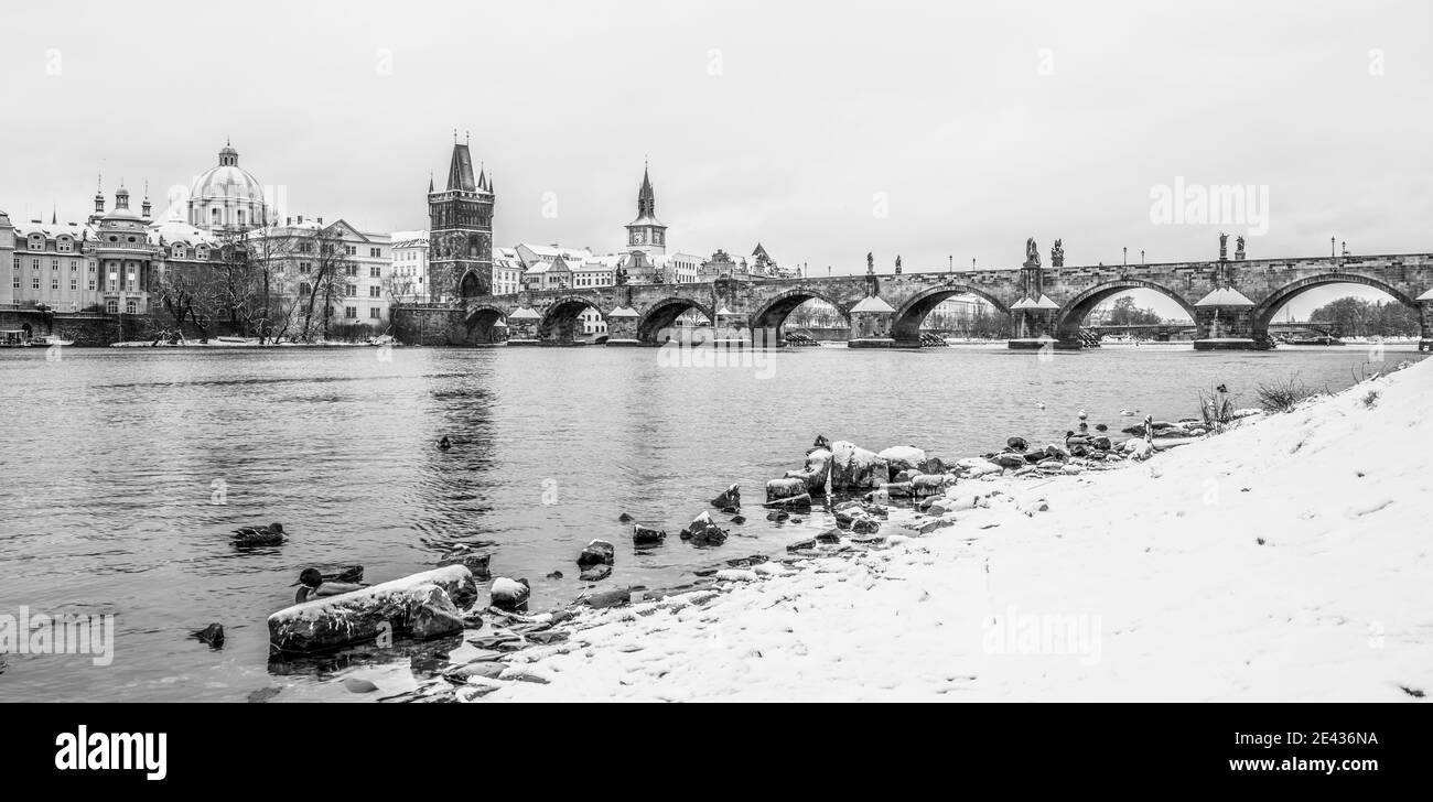 Ponte Carlo e fiume Moldava in inverno. Anatre in acqua fredda. Praga, Repubblica Ceca. Immagine in bianco e nero. Immagine in bianco e nero. Foto Stock