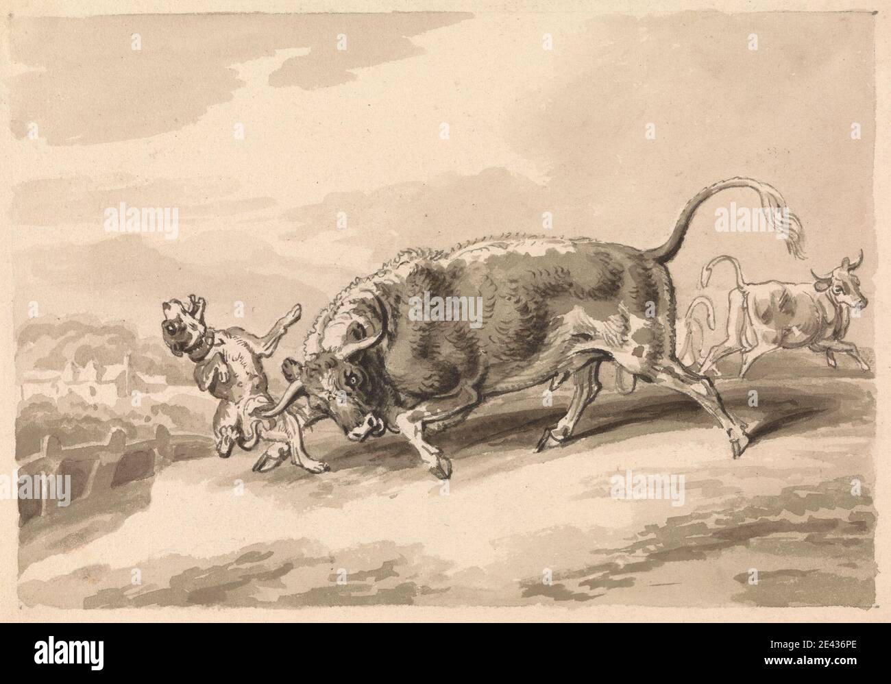 Samuel Howitt, 1756â–1822, British, Bull attacking Mastiff, senza dati. Penna e inchiostro nero, grafite, lavaggio grigio e lavaggio marrone su carta vacchetta di colore medio, leggermente testurizzata, crema. Arte animale , attacco , toro Foto Stock